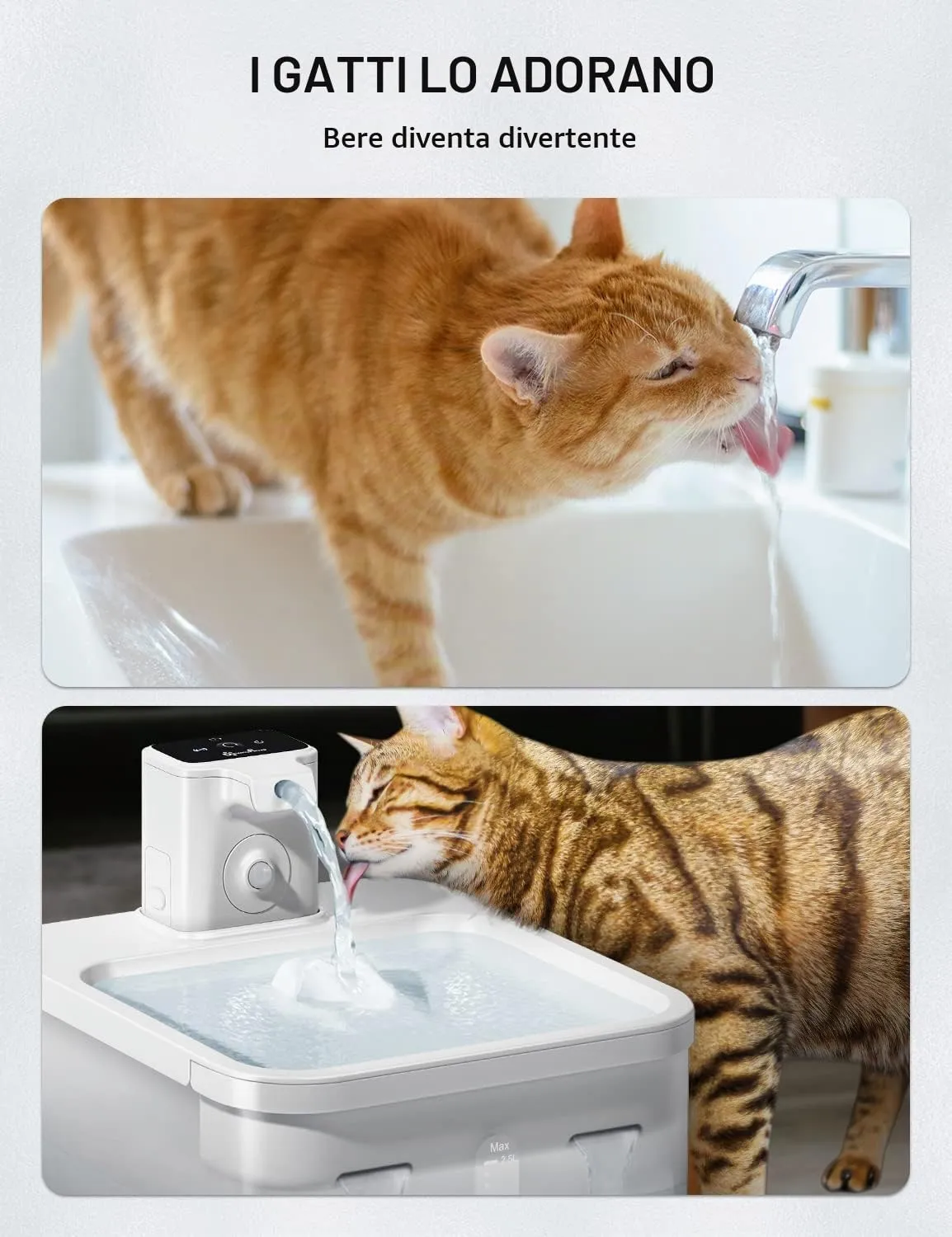 DownyPaws Filtri per Fontana Gatti DPWFP6, 12 Pezzi - immagine 6