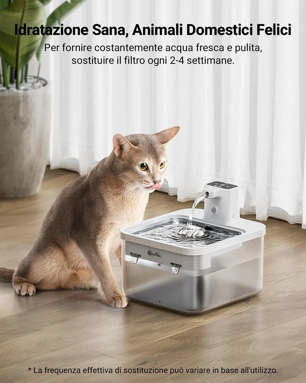DownyPaws Filtri per Fontanella Gatti DPWFP6, 6 Pezzi - immagine 5