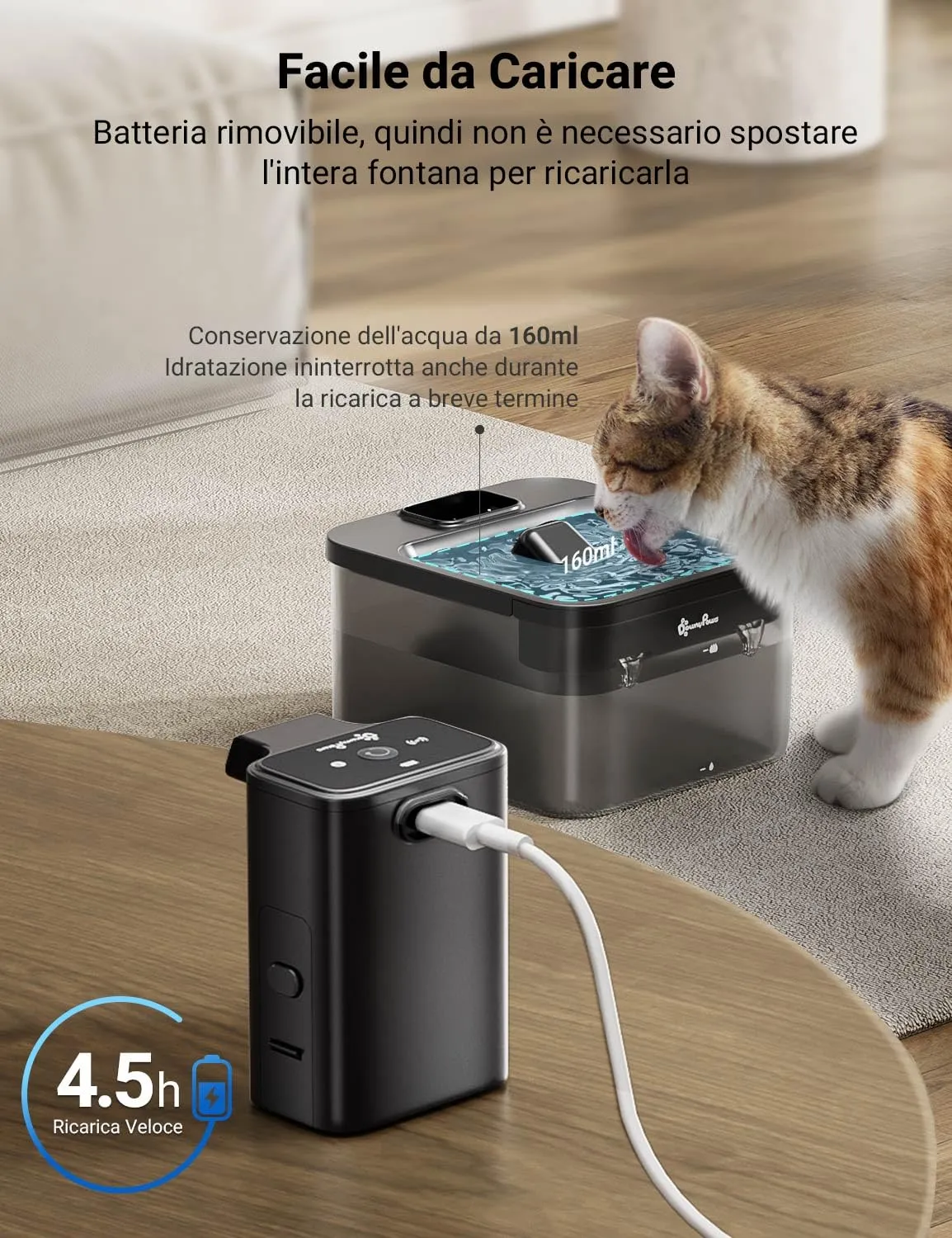 DownyPaws Fontana per Gatti senza Fili con Sensore di Movimento, Nero - immagine 5