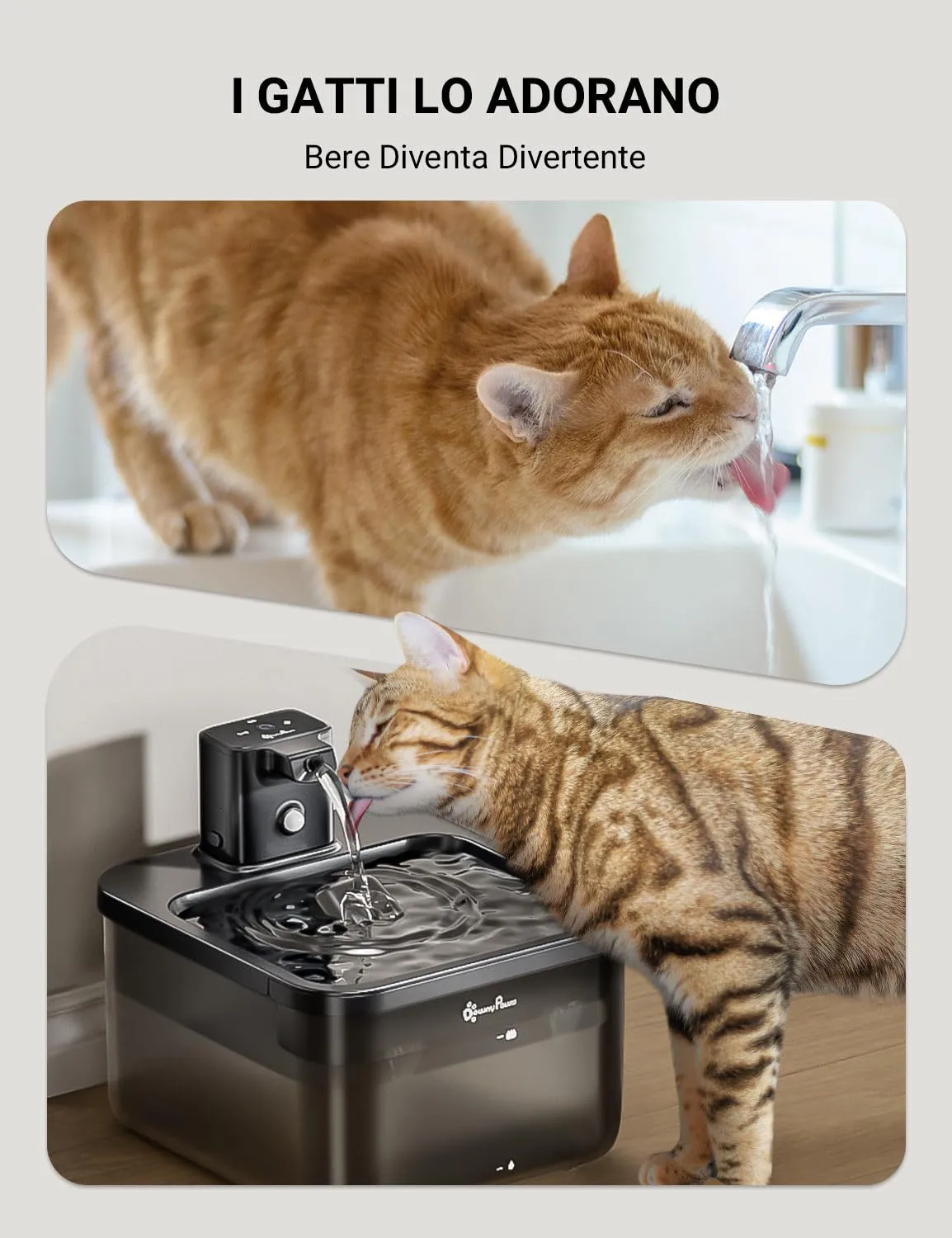 DownyPaws Fontana per Gatti senza Fili con Sensore di Movimento, Nero - immagine 8