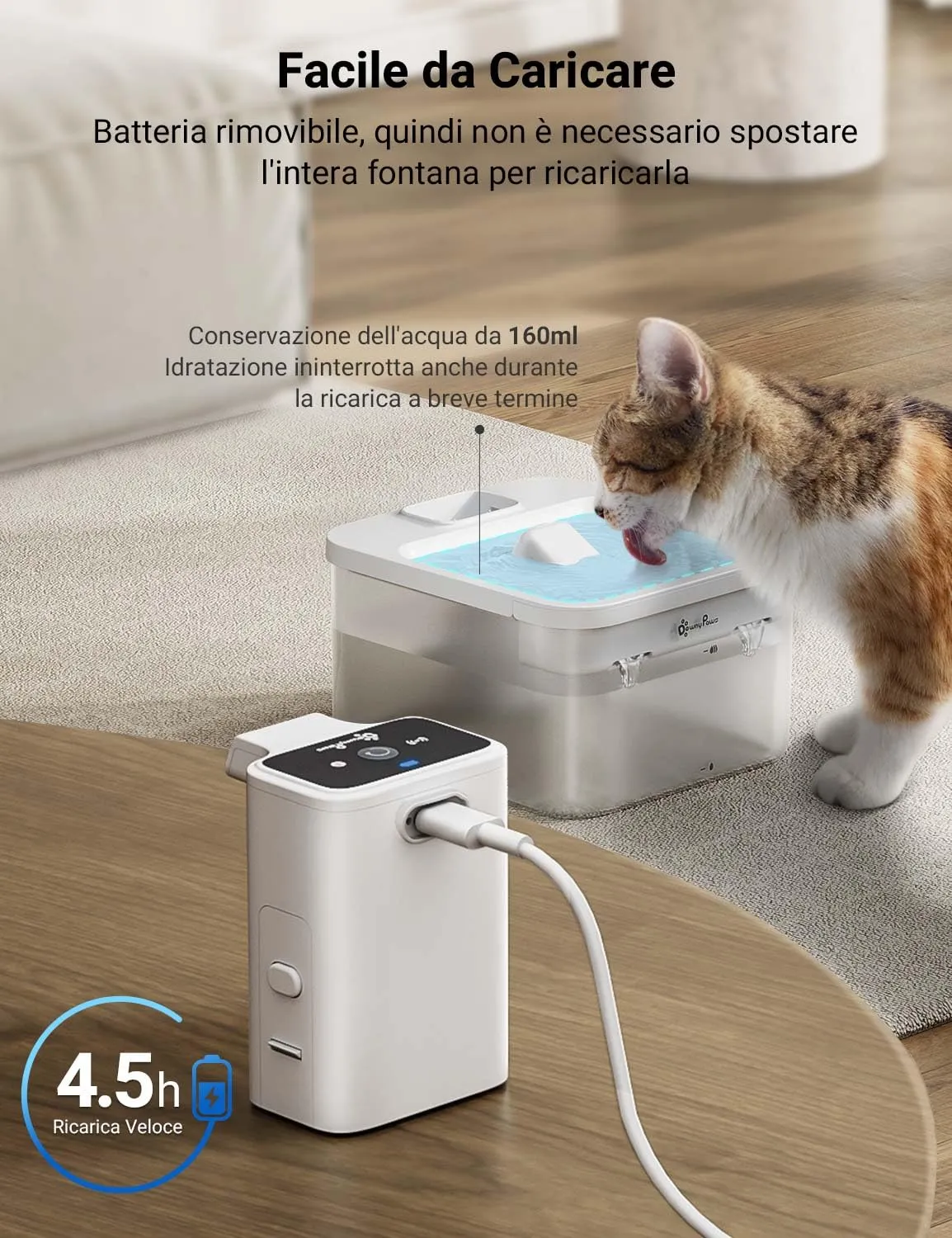 DownyPaws Fontana per Gatti senza Fili con Sensore di Movimento, Bianco - immagine 5