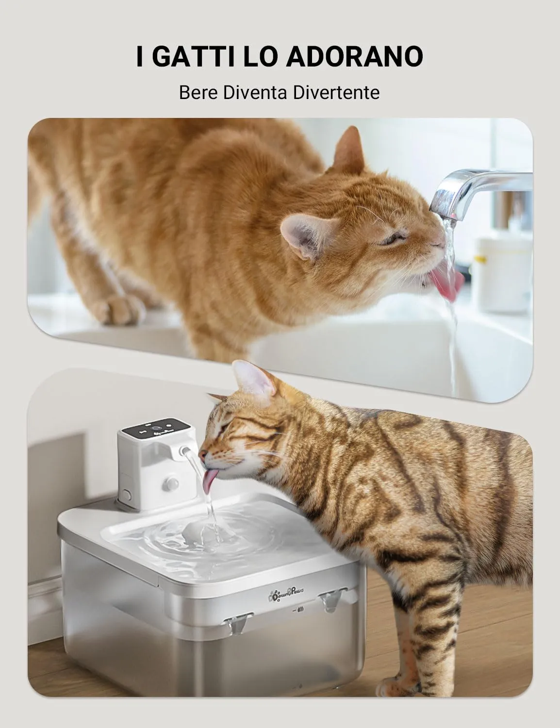 DownyPaws Fontana per Gatti senza Fili con Sensore di Movimento, Bianco - immagine 8