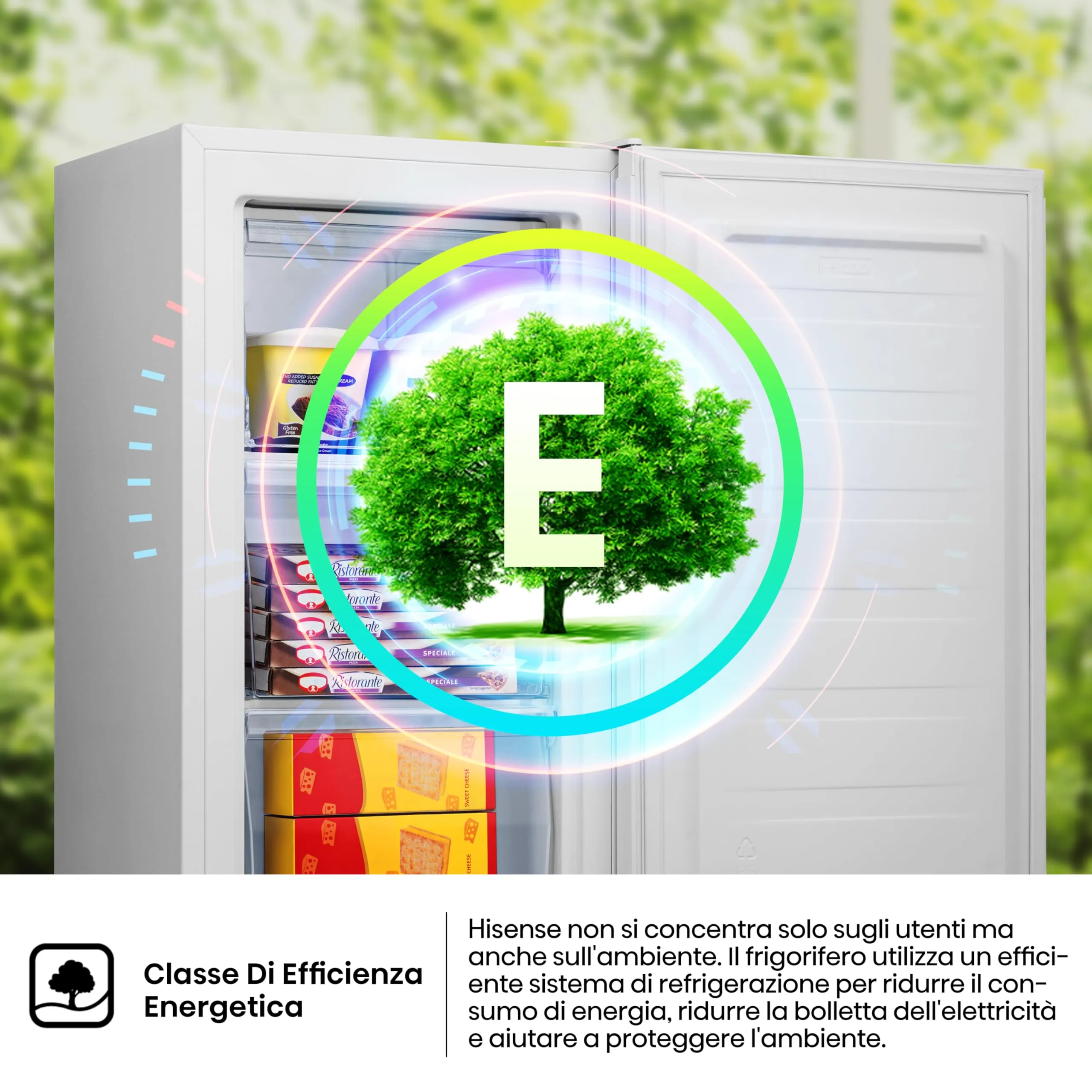 Hisense MUZ4859E Congelatore Verticale Bianco 61L - immagine 6