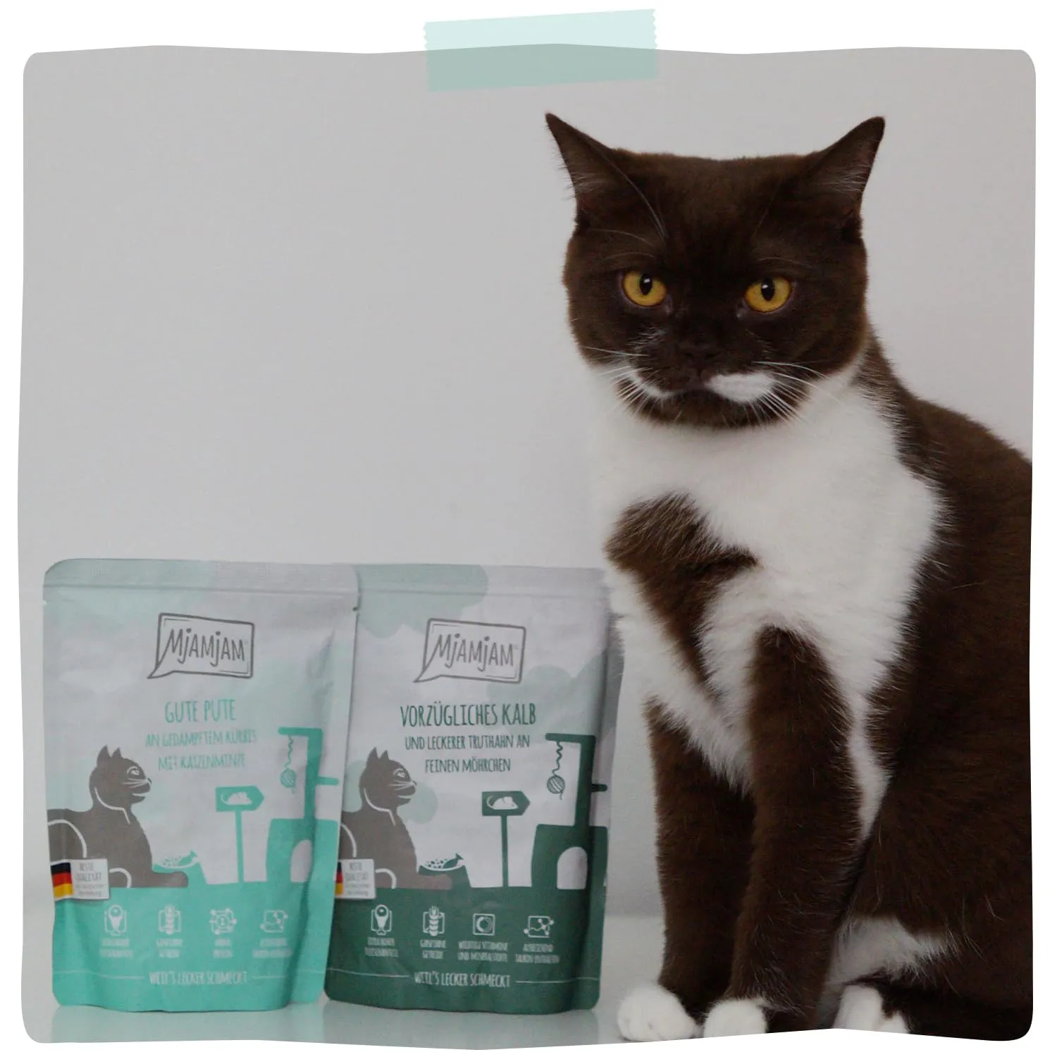 MjAMjAM Quetschie Cibo Umido per Gatti al Tacchino e Zucca, Senza Cereali, 12 x 125 g - immagine 7