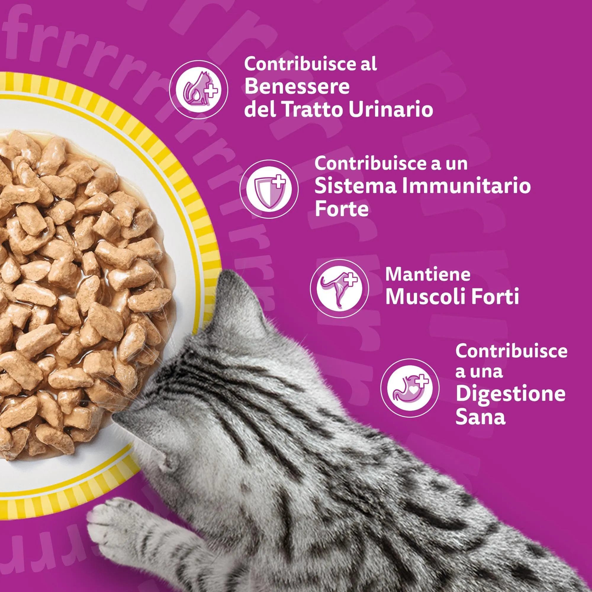 Whiskas Pranzetti Cibo Umido in Salsa per Gatti Adulti Senior 7+ Pollame, 6x50g, confezione da 12 - immagine 6