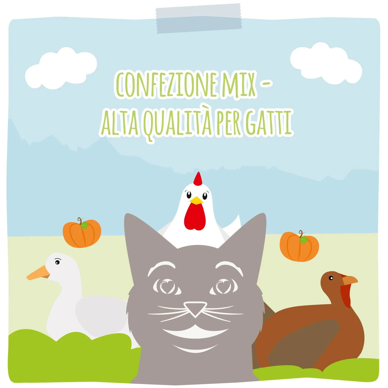 MjAMjAM Cibo Umido Premium per Gatti, Mix II: Pollo e Zucca, Tacchino, Anatra e Pollame, senza cereali, 6 x 400 g - immagine 5