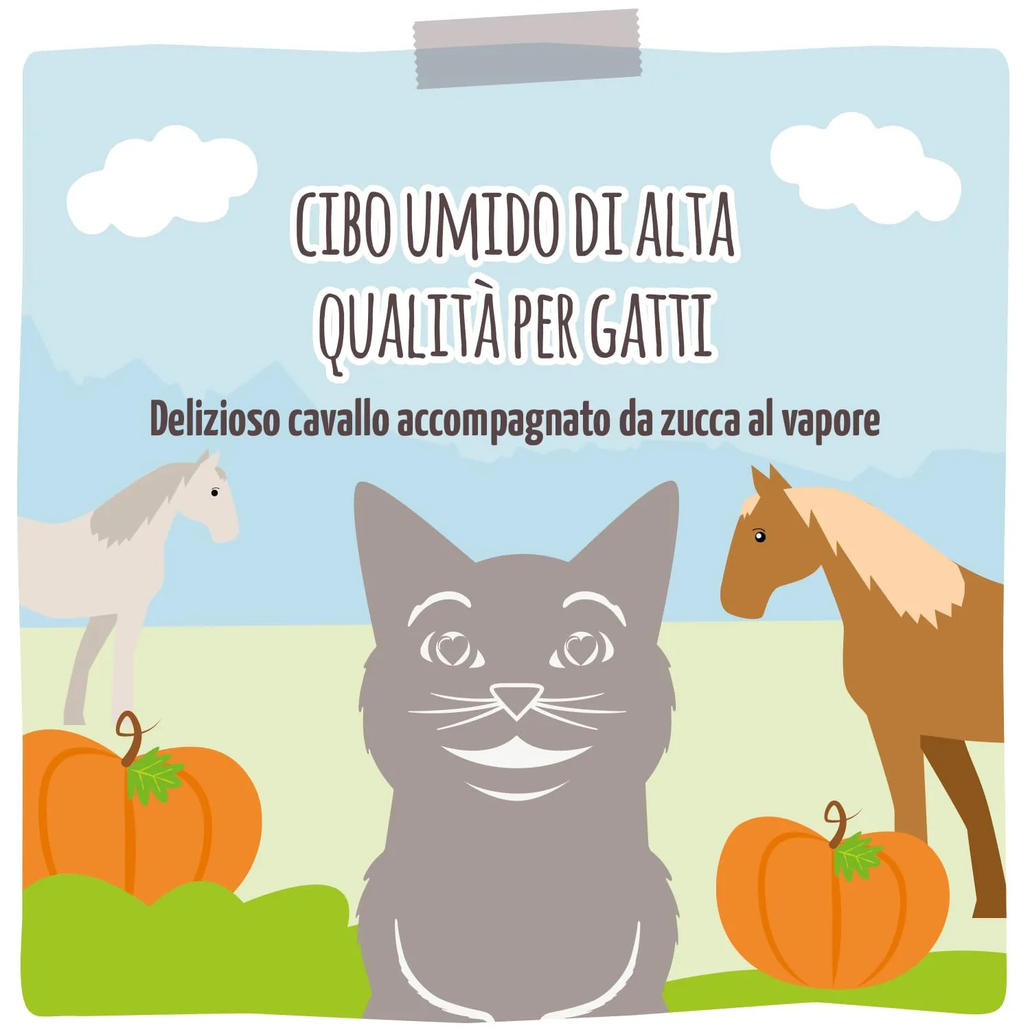 MjAMjAM Cibo Umido per Gatti Cavallo e Zucca al Vapore, Senza Cereali, 6 x 800 g - immagine 6