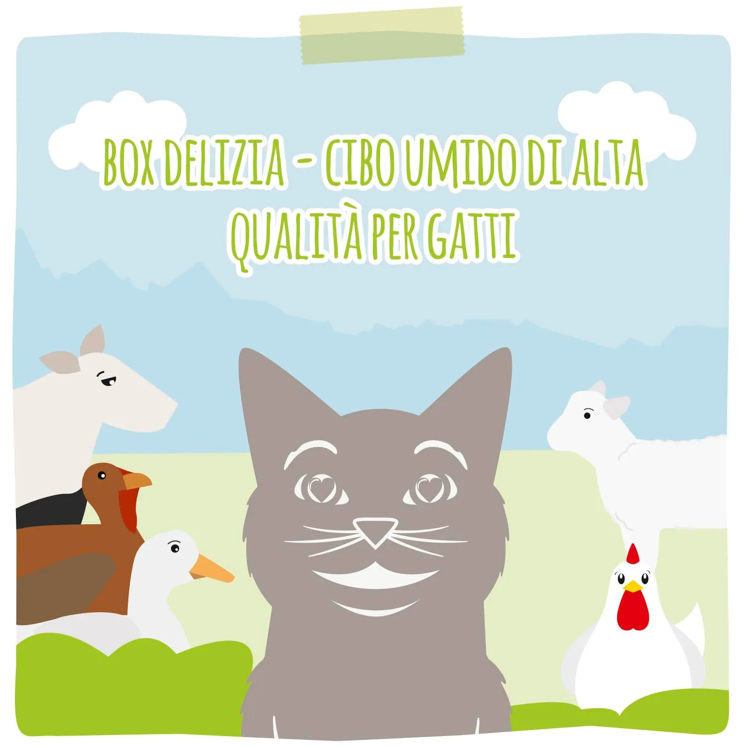 MjAMjAM Cibo Umido Premium per Gatti Senza Cereali, 12 x 200 g - immagine 7
