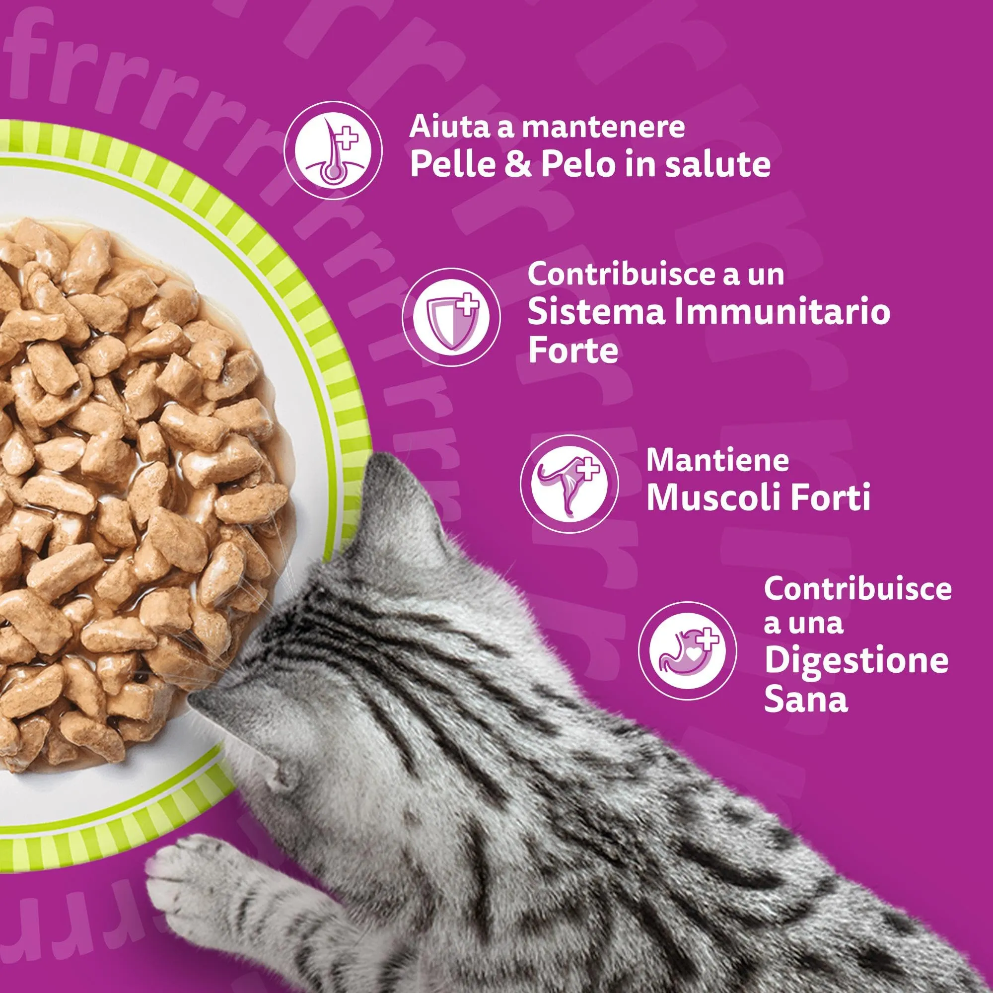Whiskas Pranzetti Cibo Umido per Gatti Adulti in Salsa, Selezione Carne e Pesce, 12 Confezioni da 6 Vaschette da 50 g (3,6 kg) - immagine 5