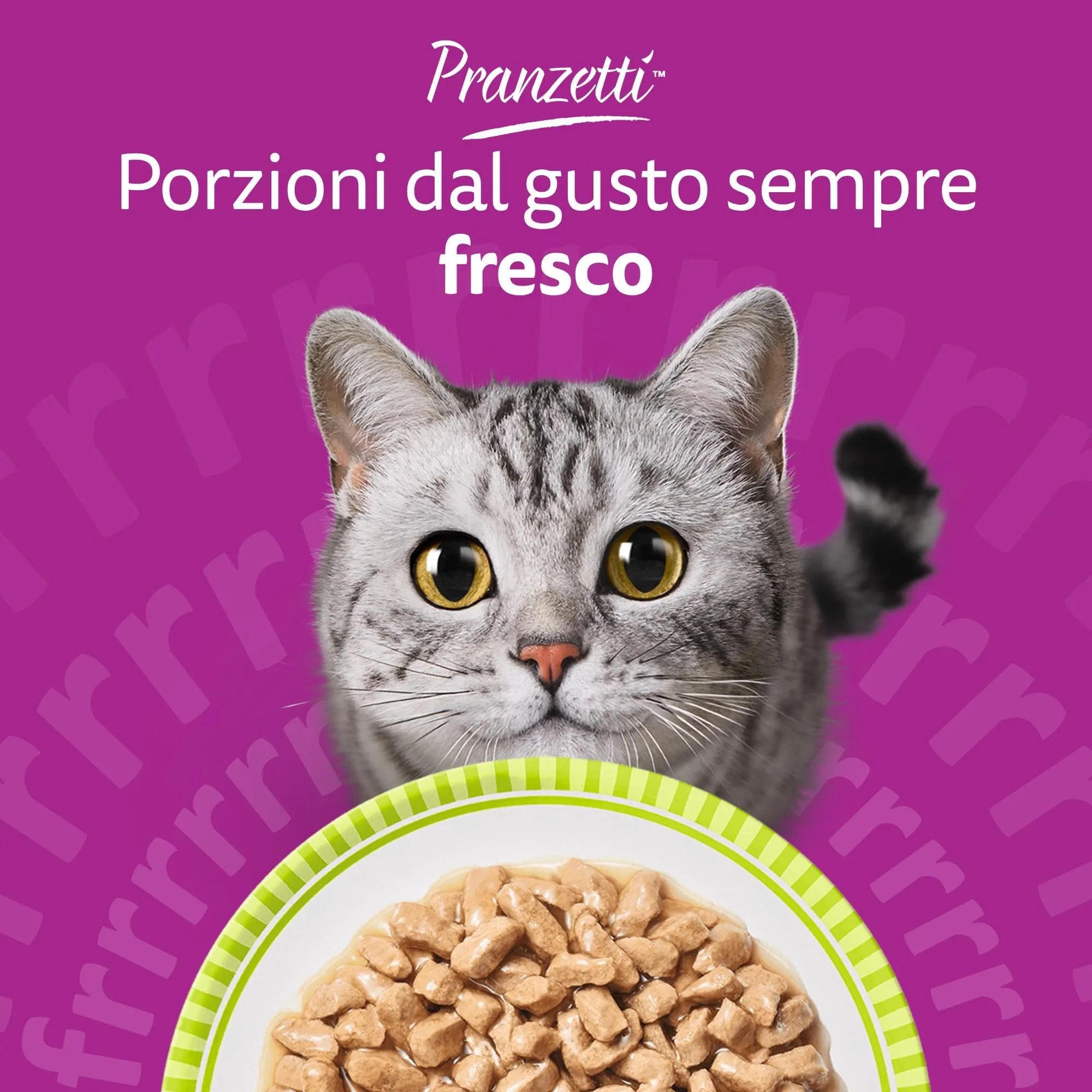 Whiskas Pranzetti Cibo Umido per Gatti Adulti in Salsa, Selezione Carne e Pesce, 12 Confezioni da 6 Vaschette da 50 g (3,6 kg) - immagine 7