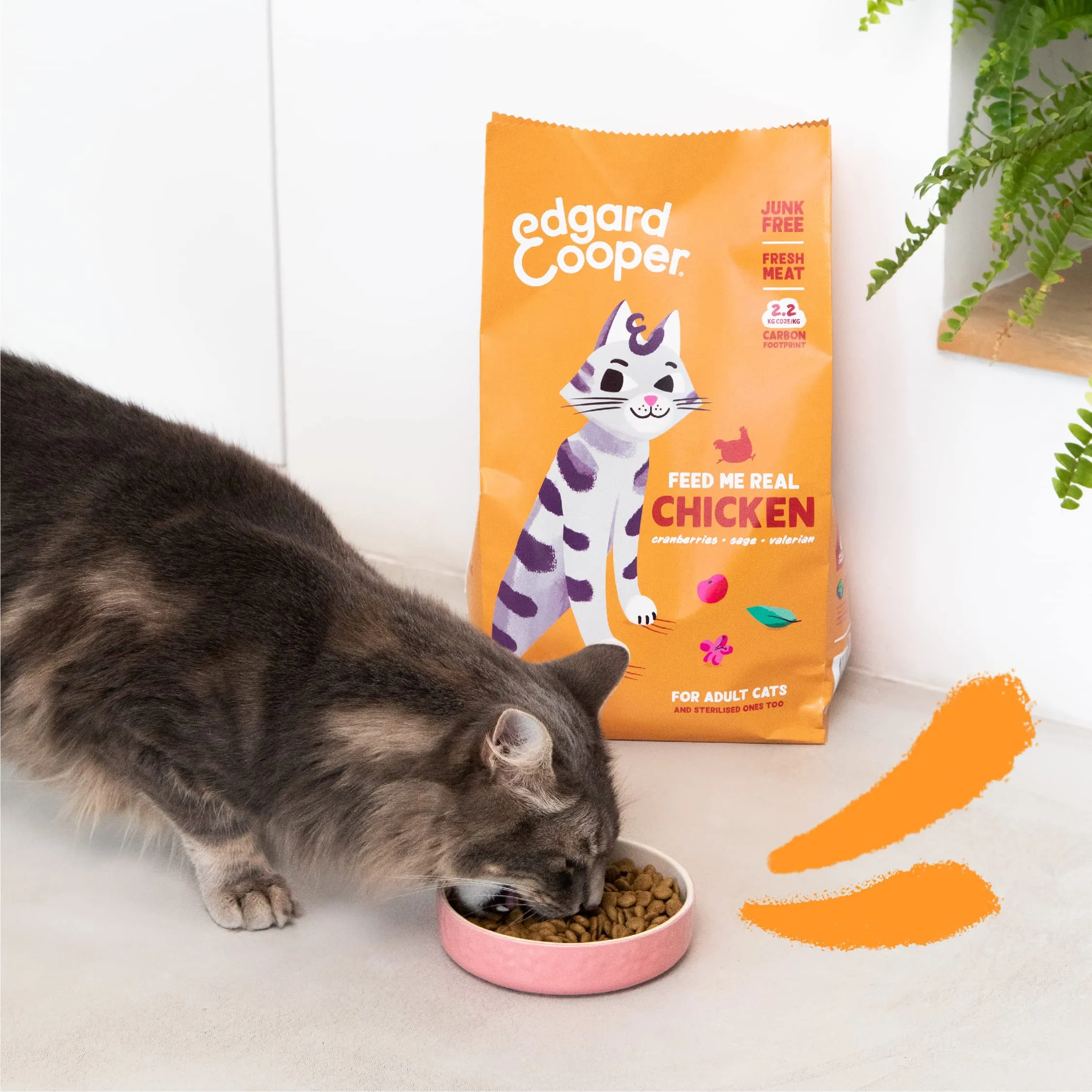 Edgard & Cooper Crocchette Gatti Pollo, Sterilizzati o Attivi, Senza Cereali, 750g - immagine 4