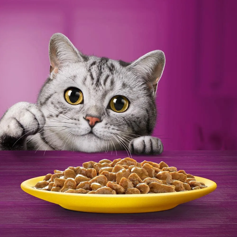 Whiskas Pranzetti Cibo Umido per Gatti Adulti in Salsa al Gusto Pollame, 12 Confezioni da 6 Vaschette da 50 g (3.6 kg) - immagine 2