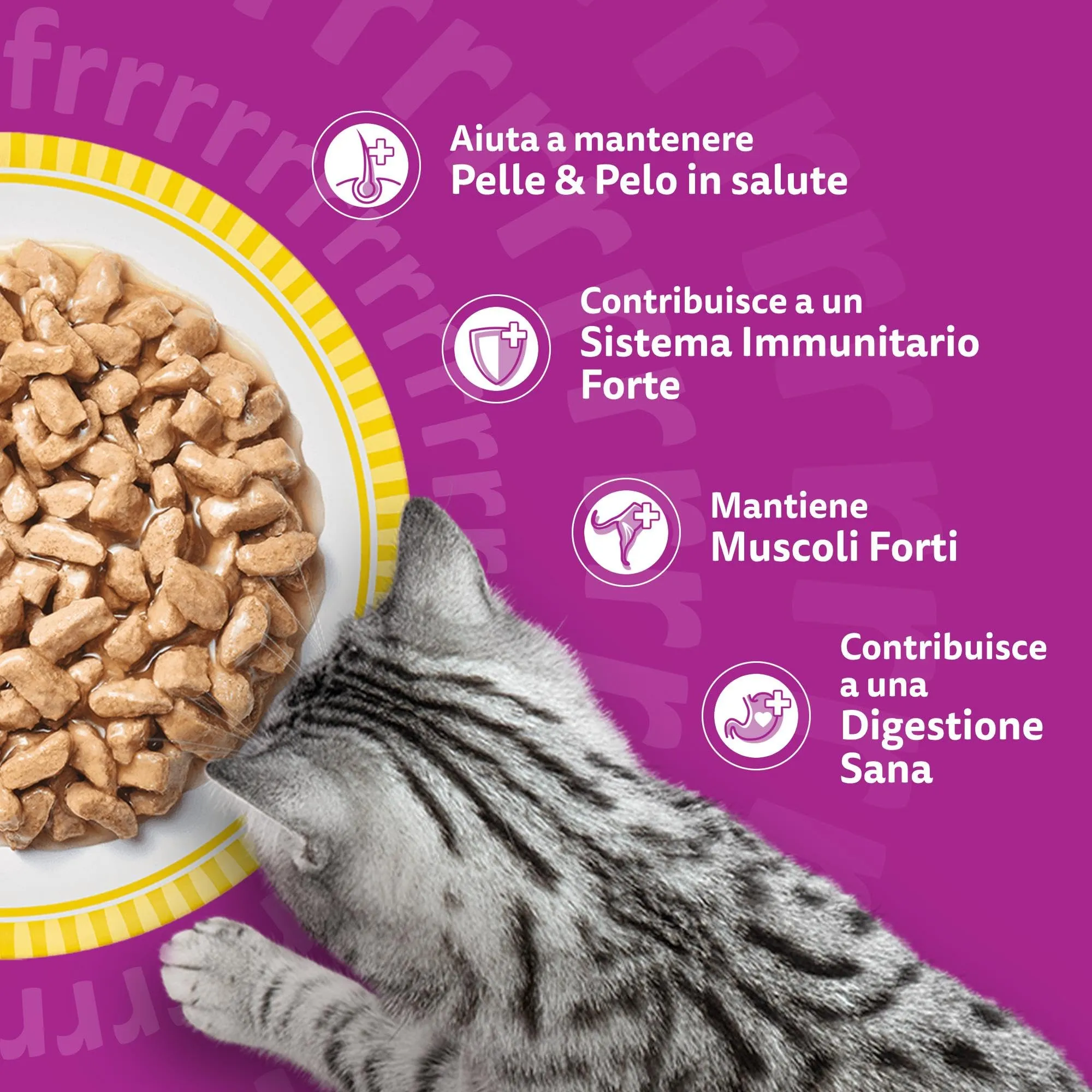 Whiskas Pranzetti Cibo Umido per Gatti Adulti in Salsa al Gusto Pollame, 12 Confezioni da 6 Vaschette da 50 g (3.6 kg) - immagine 6