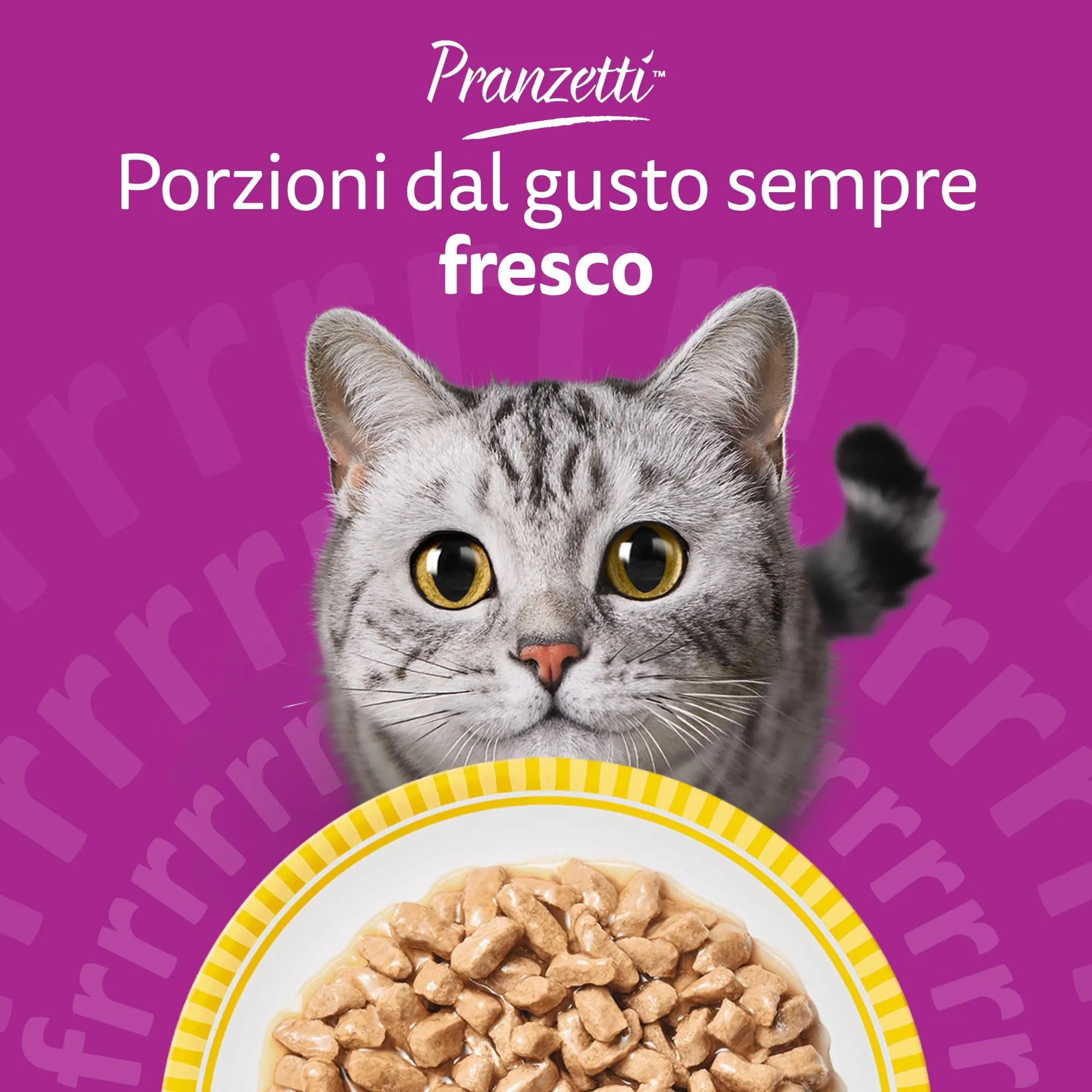 Whiskas Pranzetti Cibo Umido per Gatti Adulti in Salsa al Gusto Pollame, 12 Confezioni da 6 Vaschette da 50 g (3.6 kg) - immagine 8