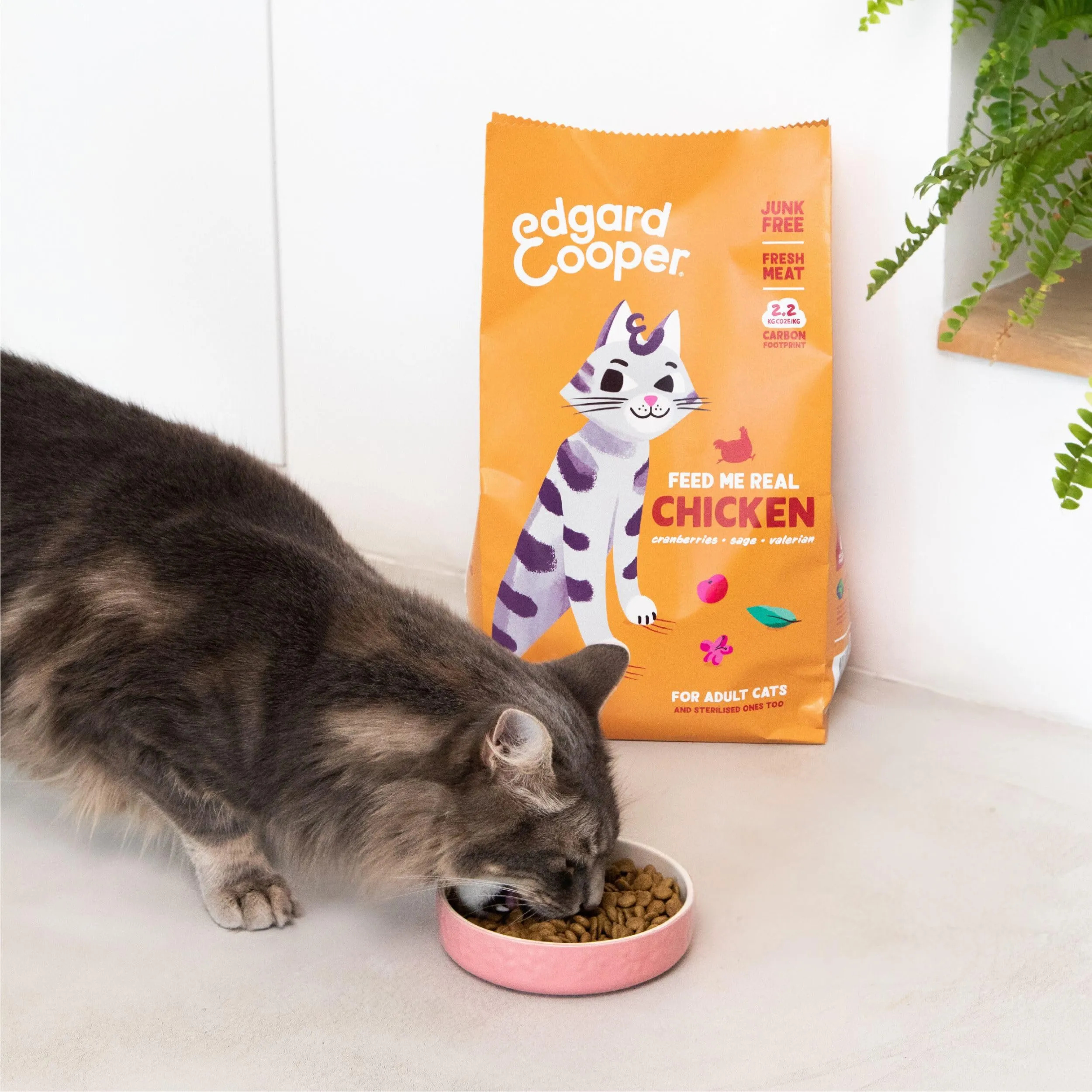 Edgard & Cooper Crocchette per Gatti Sterilizzati o Attivi al Pollo Fresco, Senza Cereali, 4kg - immagine 8