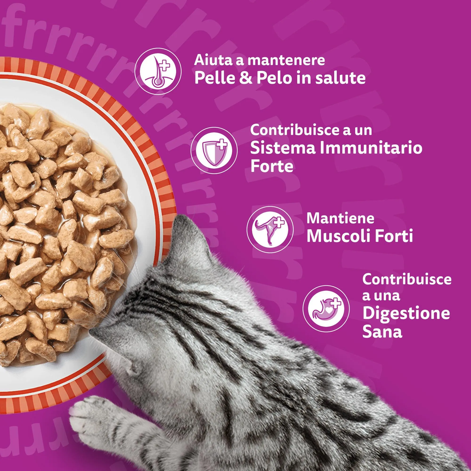 Whiskas Pranzetti Cibo Umido in Salsa per Gatti Adulti Carne 6x50g, confezione da 12 - immagine 6