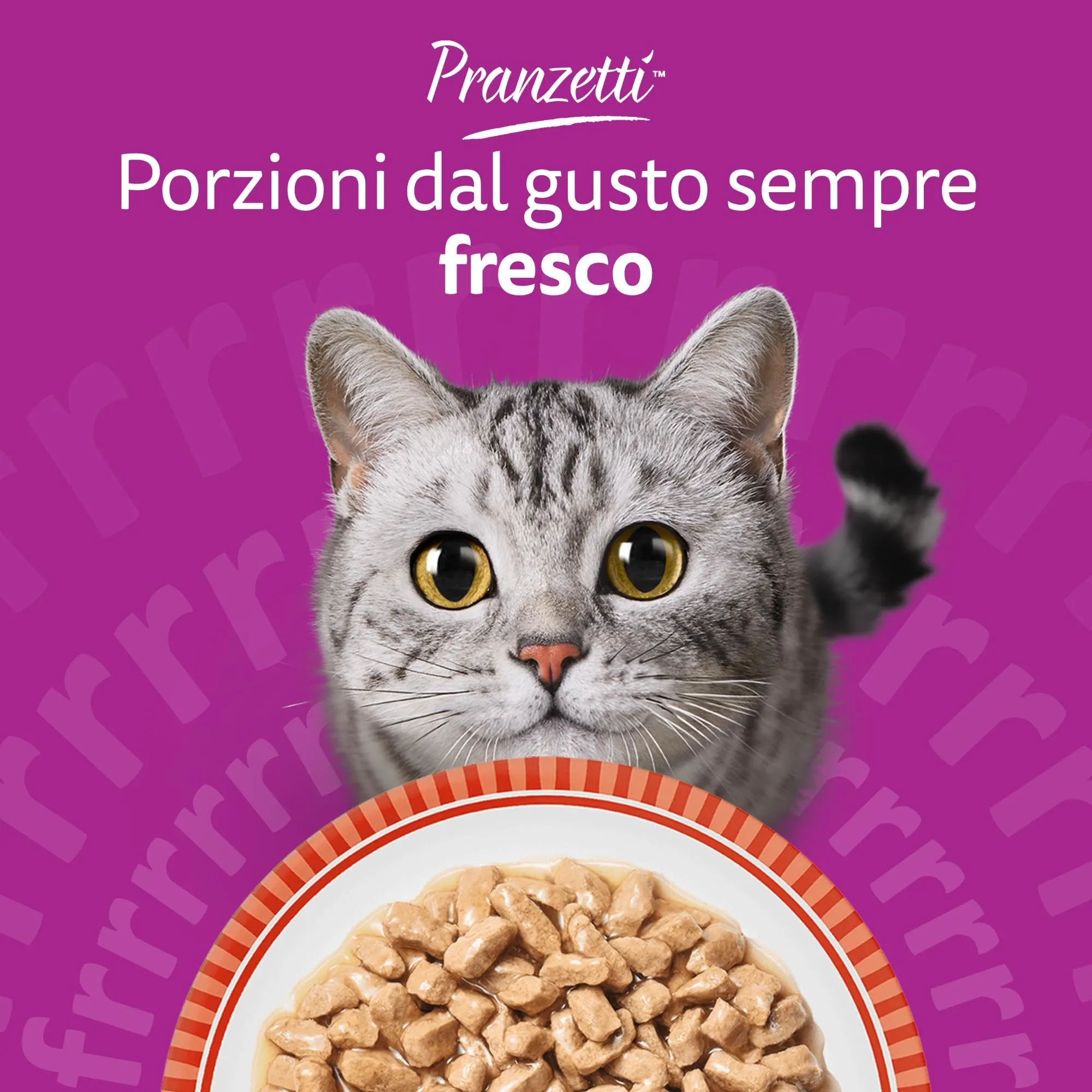 Whiskas Pranzetti Cibo Umido in Salsa per Gatti Adulti Carne 6x50g, confezione da 12 - immagine 8
