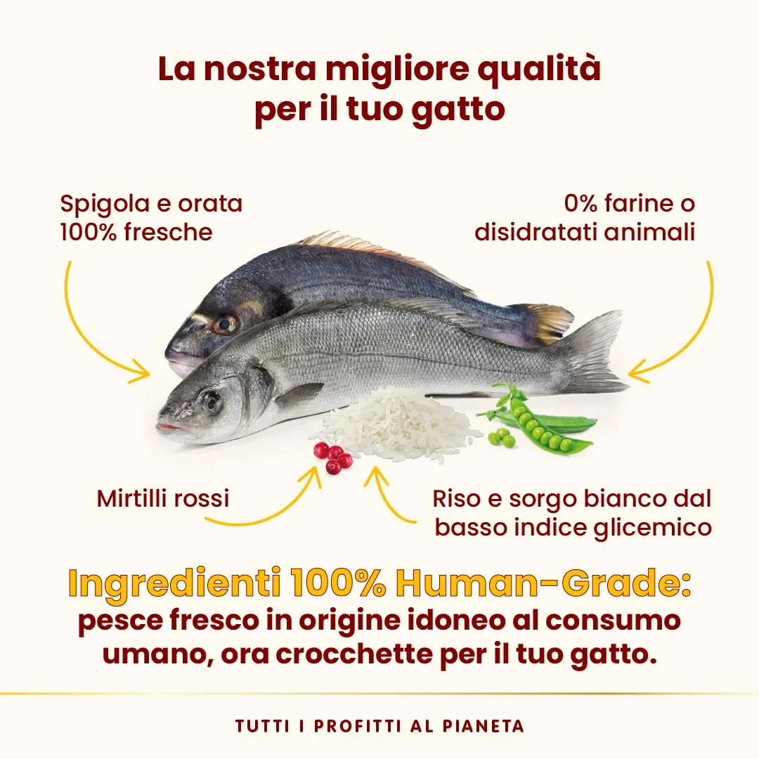 Almo Nature HFC Our Best Sterilised Cat Food, Spigola E Orata Freschi, 300g - immagine 4
