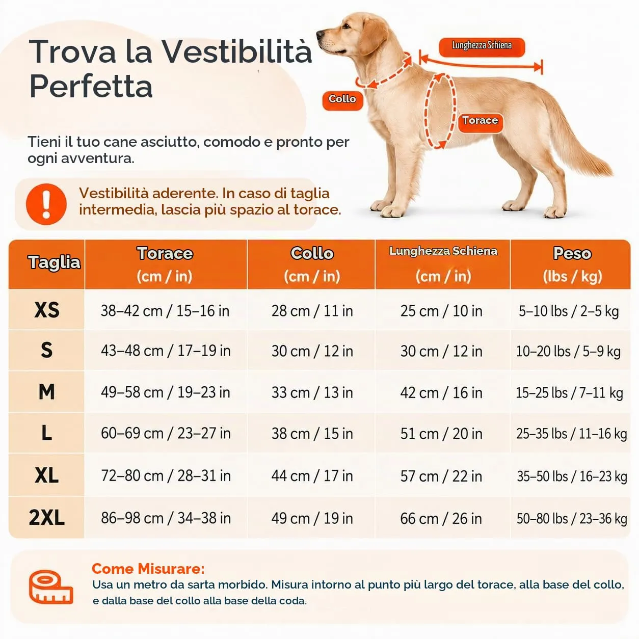 Morezi Impermeabile per Cani con Cappuccio Staccabile, Blu Scuro, XS - immagine 4