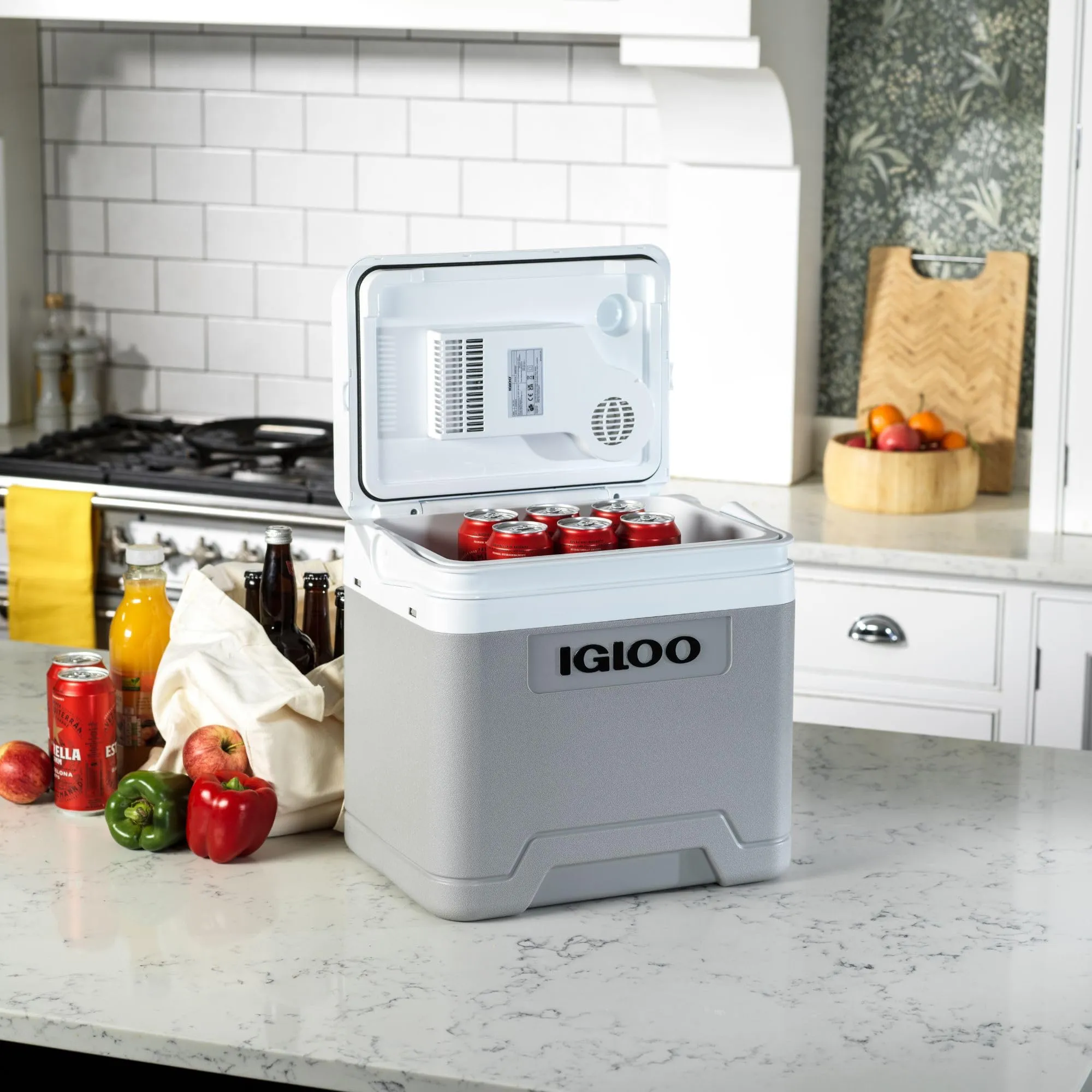 Igloo IE24DC Frigo Elettrico 12V 24L - immagine 2