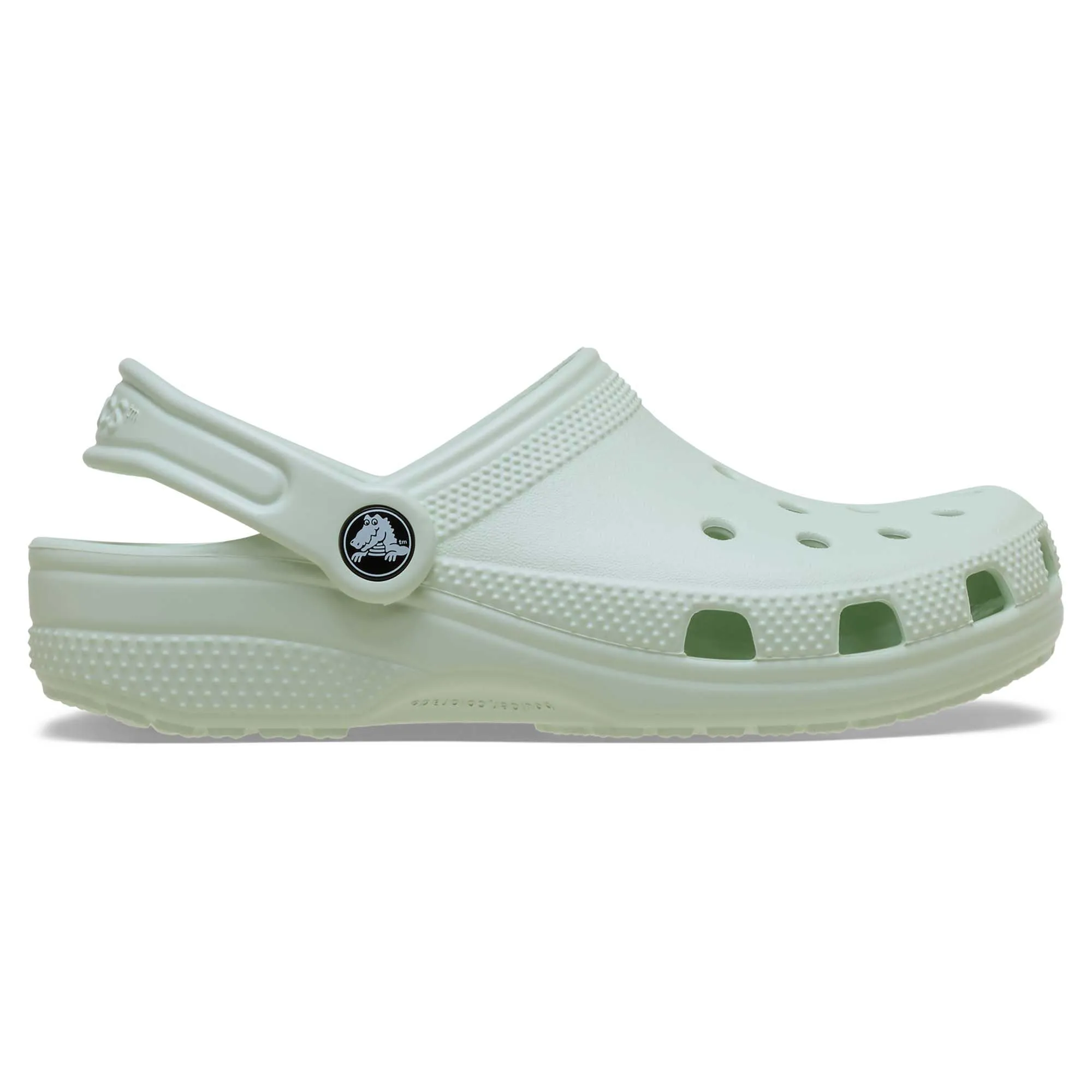 Crocs Classic Clog K, Kids and Youth, Mint Tint, 28/29 EU - immagine 2