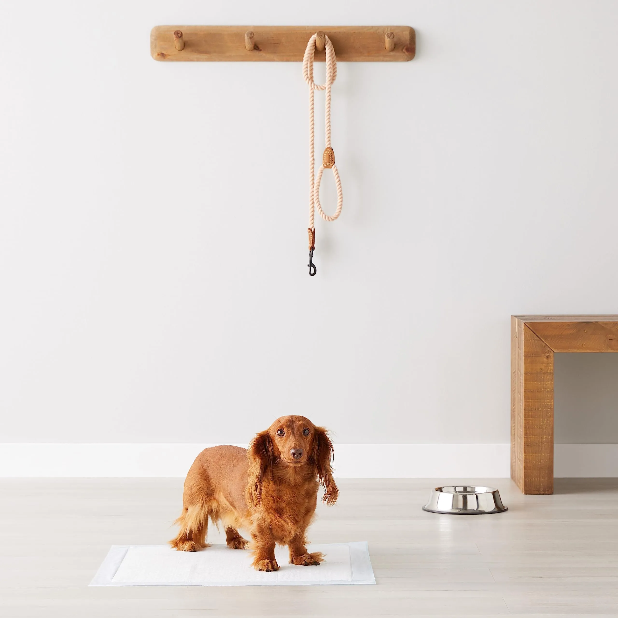 Amazon Basics Tappetini Assorbenti per Cani, 5 Strati, 56 x 56 cm, Confezione da 30, Blu e Bianco - immagine 9
