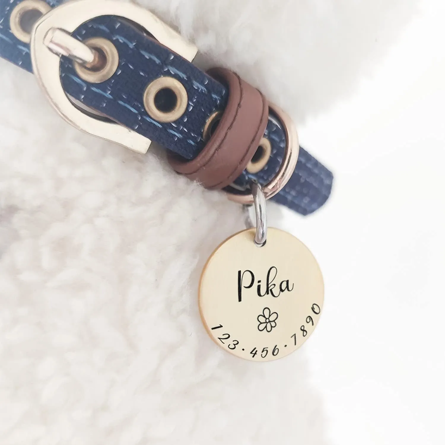 Acatinthetree Medagliette Identificative Personalizzate per Cane e Gatto in Ottone, Grande 34 mm - immagine 2