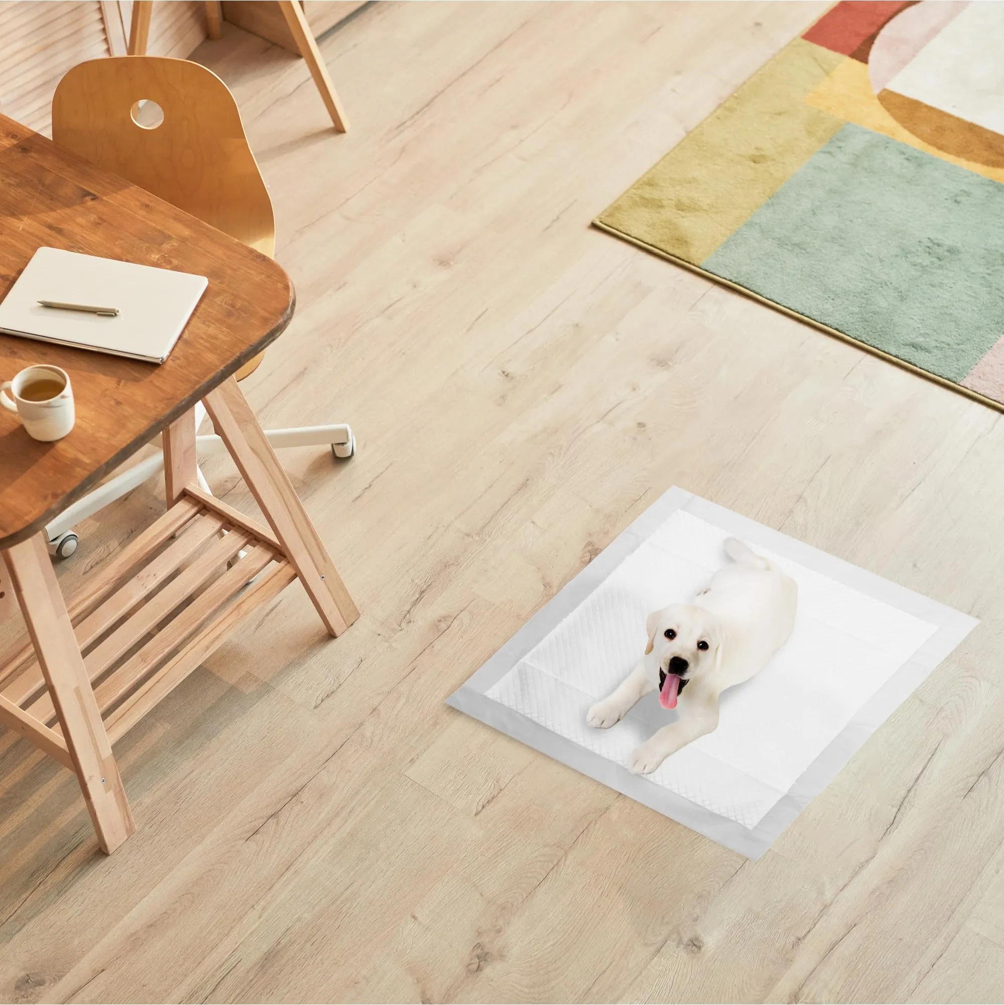 R MOVE Traversine Cani 60x60 con Adesivi, 100 Pezzi - immagine 4
