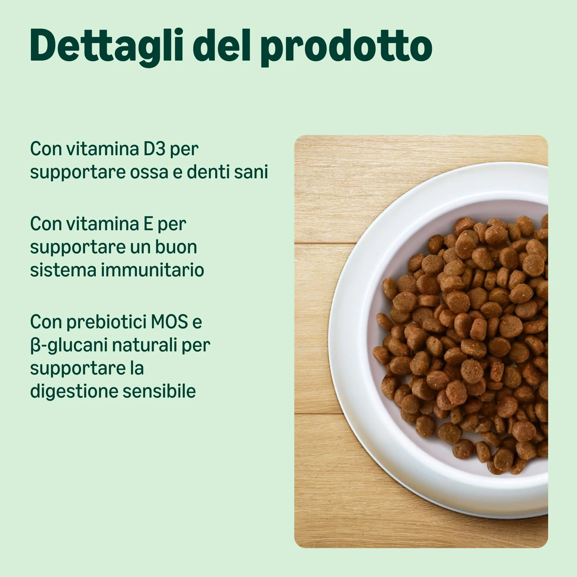 by Amazon Complete Dry Cat Food with Salmon and Rice, 10kg - immagine 2