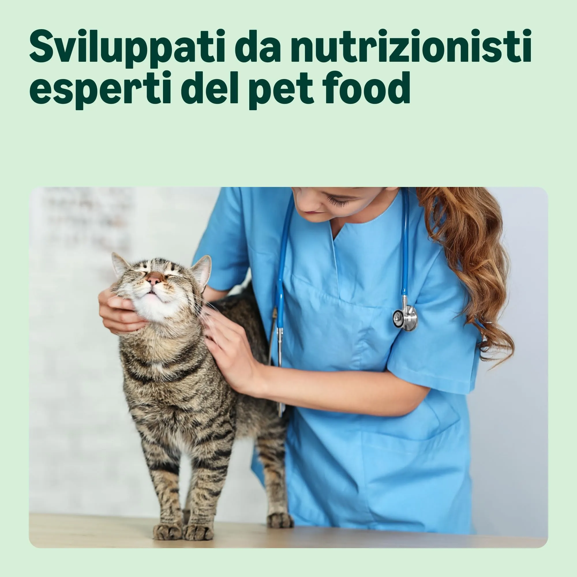 by Amazon Alimento secco completo per gatti adulti pollo e riso, 3kg - immagine 3