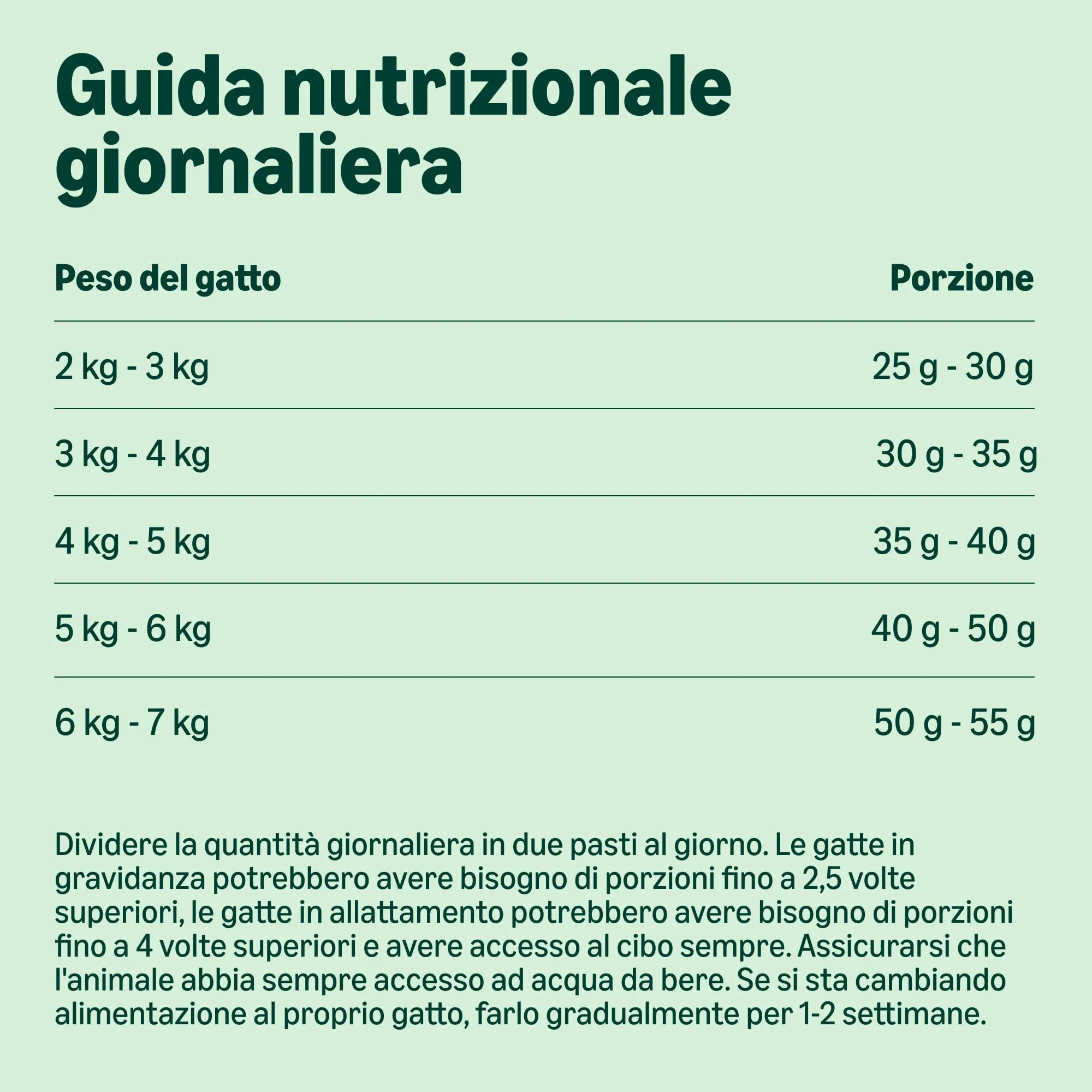 by Amazon Alimento Secco Completo per Gatti Adulti con Salmone e Riso, 3kg - immagine 5