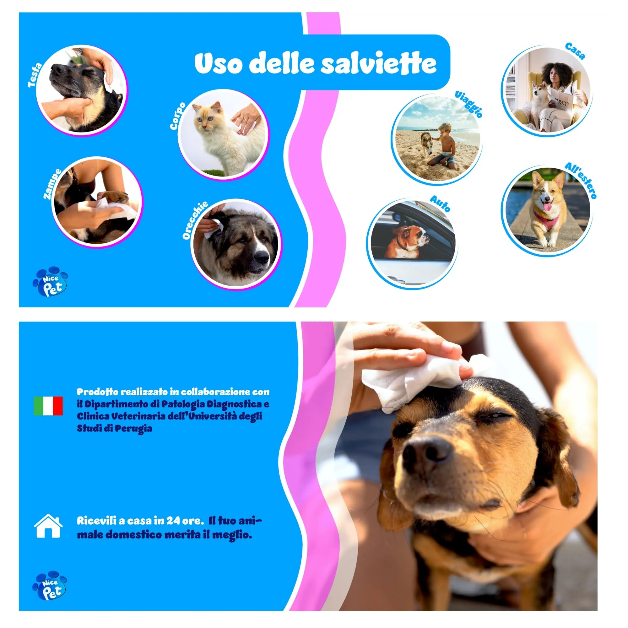 Nice Pet Salviette Multiuso Detergenti Igienizzanti per Cani e Gatti al Muschio con Clorexidina, 100 Salviette - immagine 3