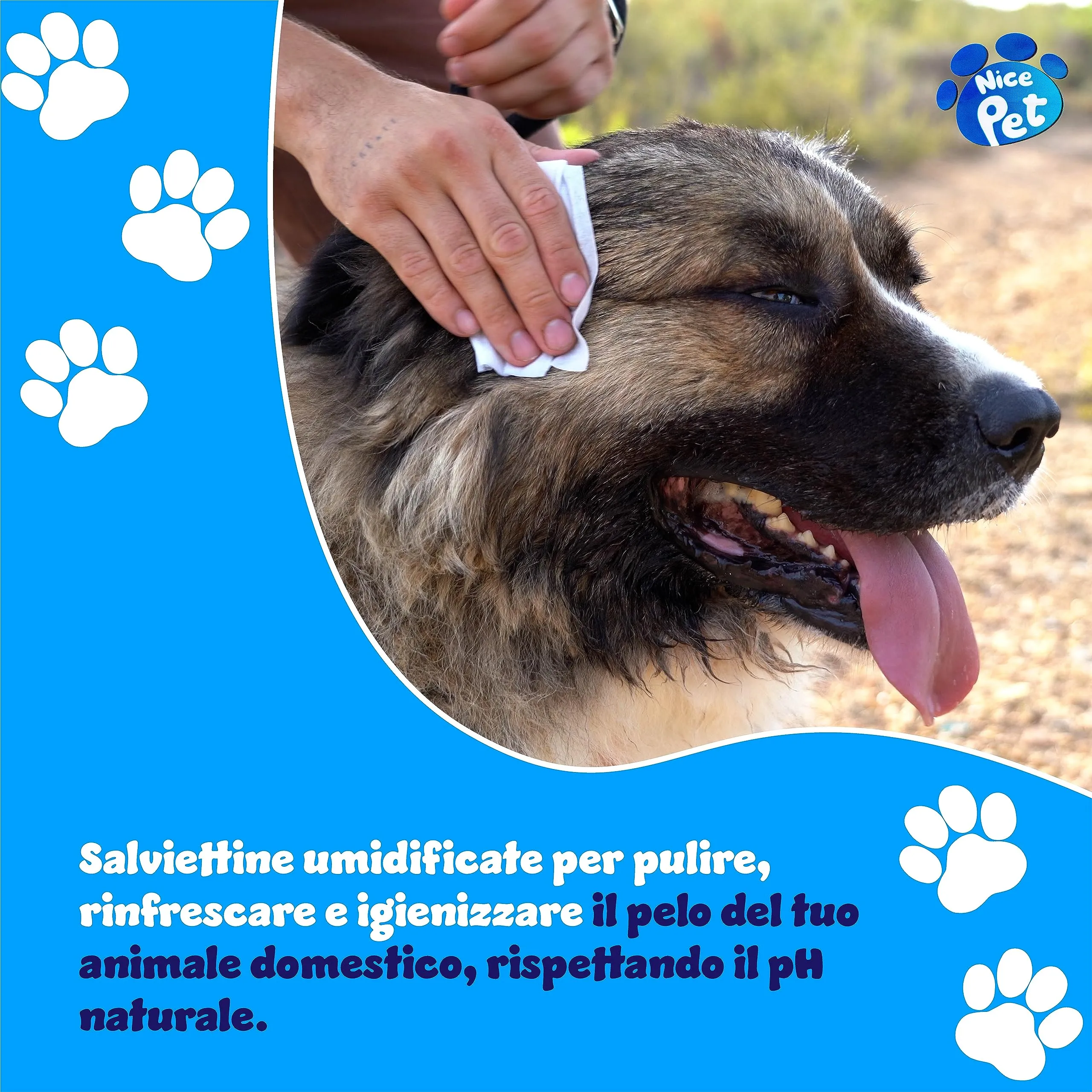 Nice Pet Salviette Multiuso Detergenti Igienizzanti per Cani e Gatti al Muschio con Clorexidina, 100 Salviette - immagine 6