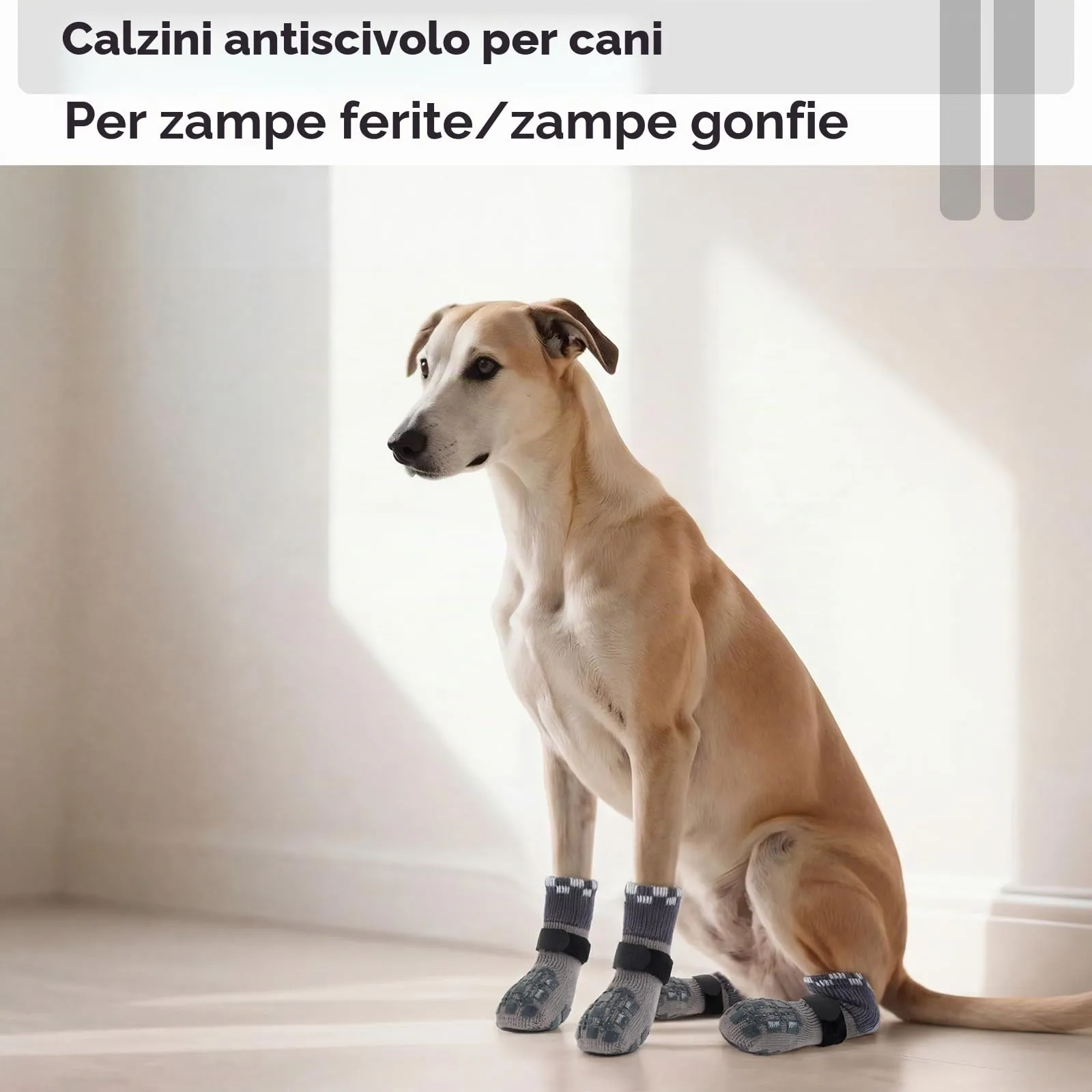 PUMYPOREITY Calzini Protettivi per Gatti Anti-Graffio, 2 Paia (Grigio, 3XS) - immagine 5