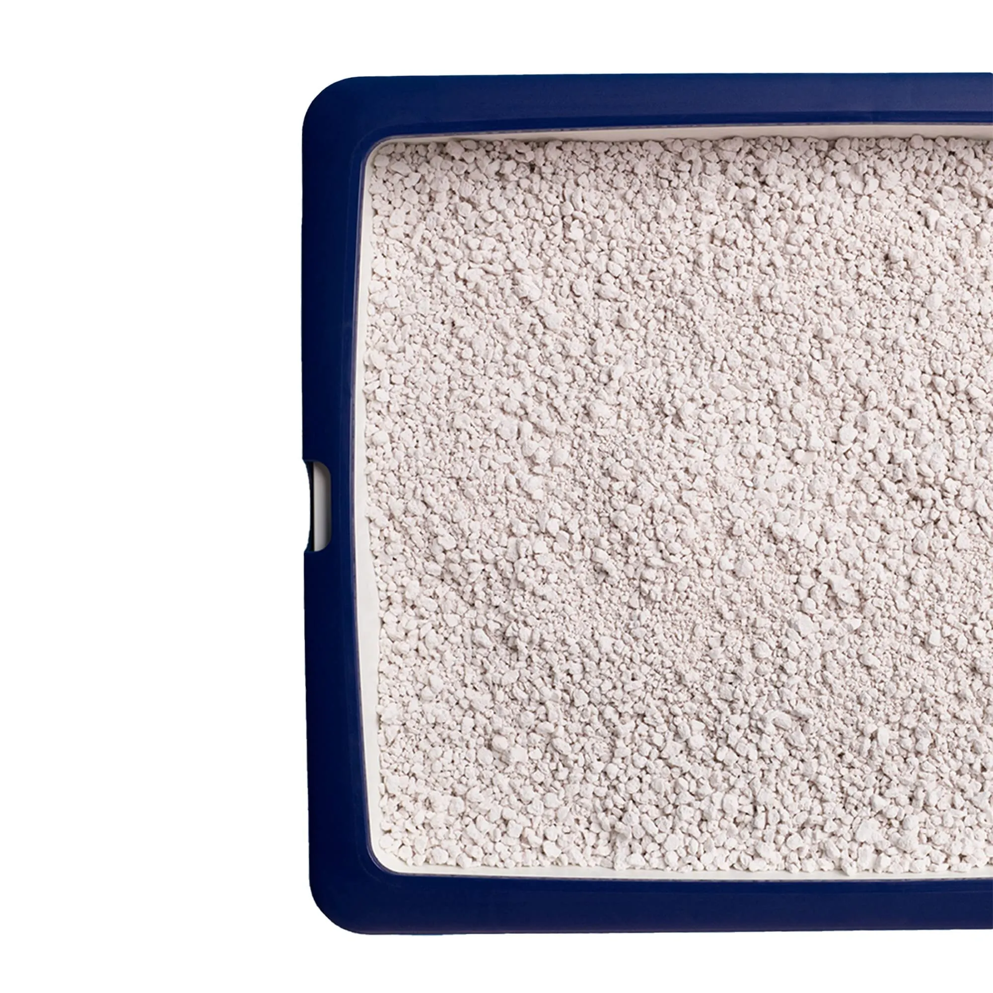Catsan Hygiene Plus Lettiera Igienica per Gatti, Granuli Non Agglomeranti, 10 L - immagine 5