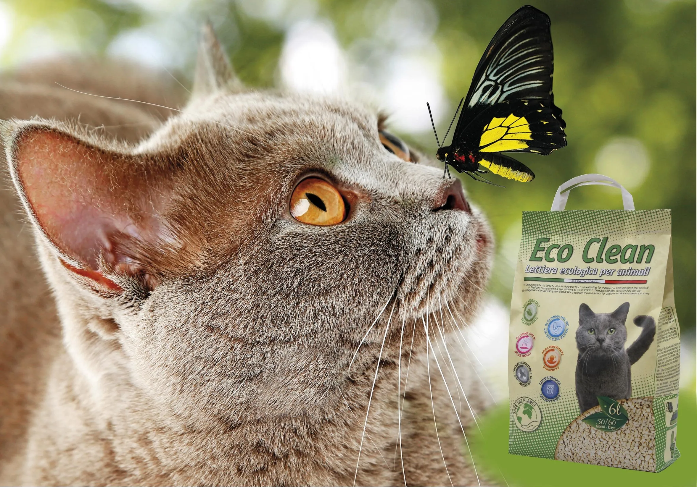 Croci Eco Clean Lettiera per Gatti Agglomerante, 20 L, Biodegradabile, Sabbia - immagine 7