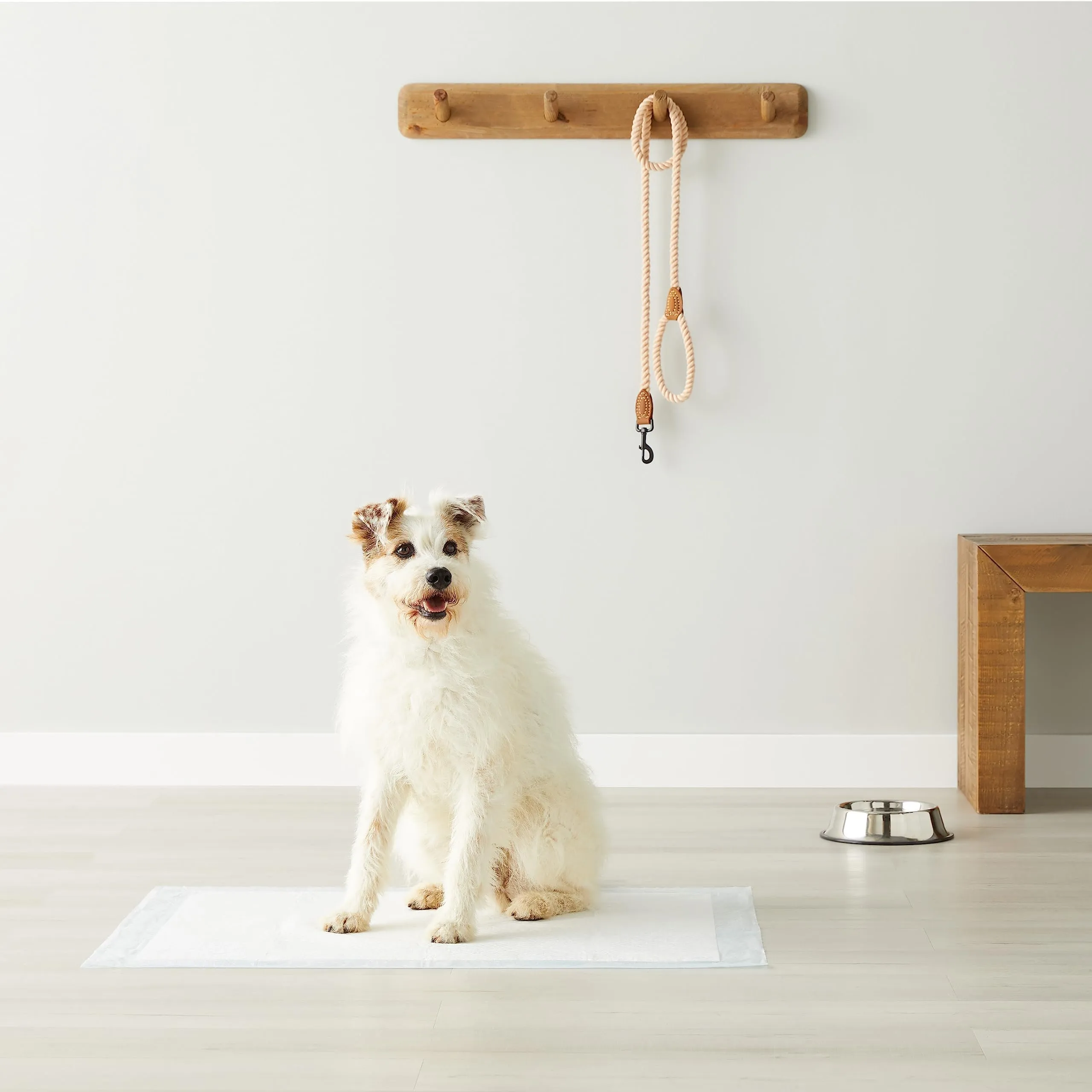 Amazon Basics Tappetini per l'addestramento di cani e cuccioli, 5 strati, dimensione XL, confezione da 40, Celeste - immagine 6