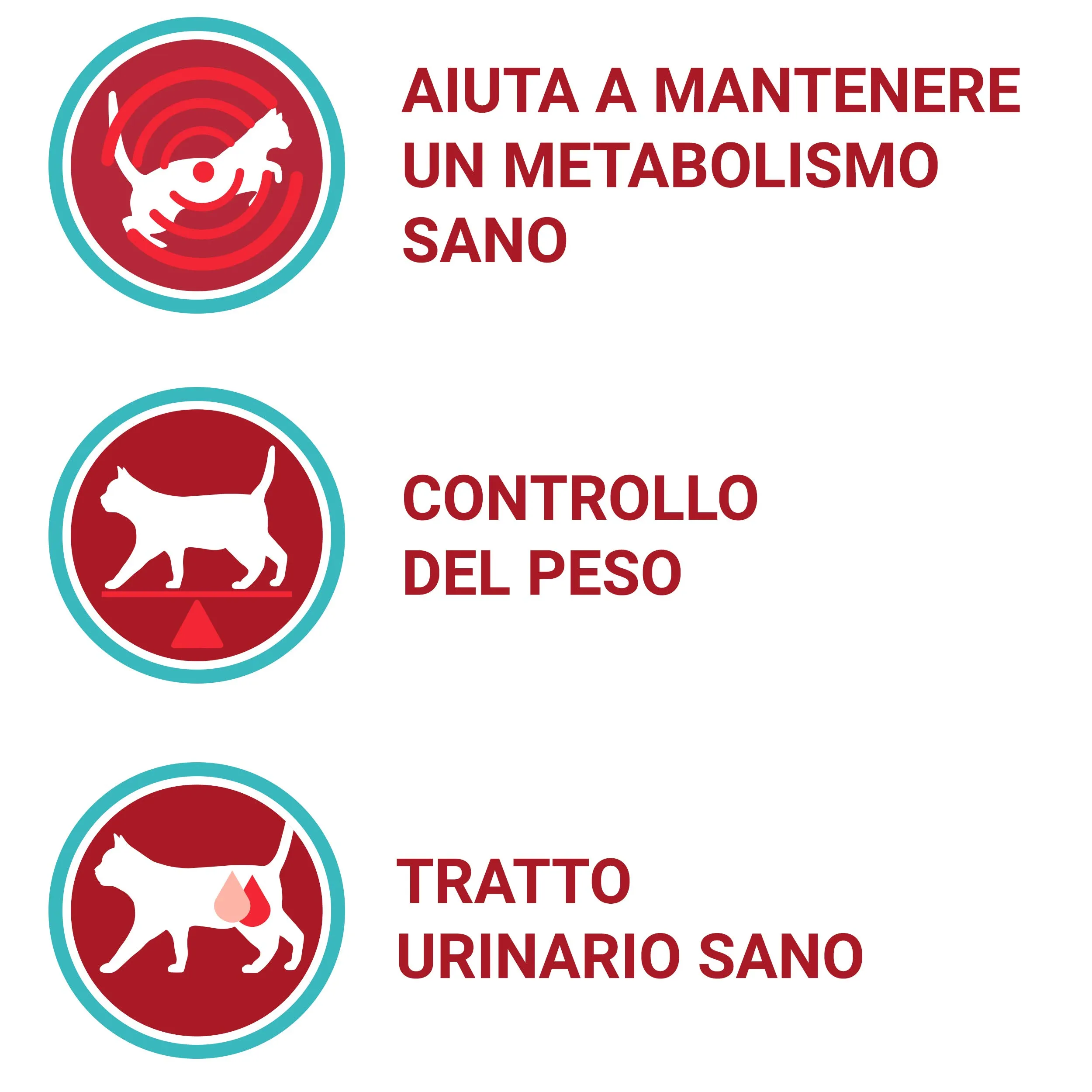 Purina One Bifensis Sterilcat Croccantini per Gatti Sterilizzati con Manzo e Frumento, 8 x 800 g - immagine 2