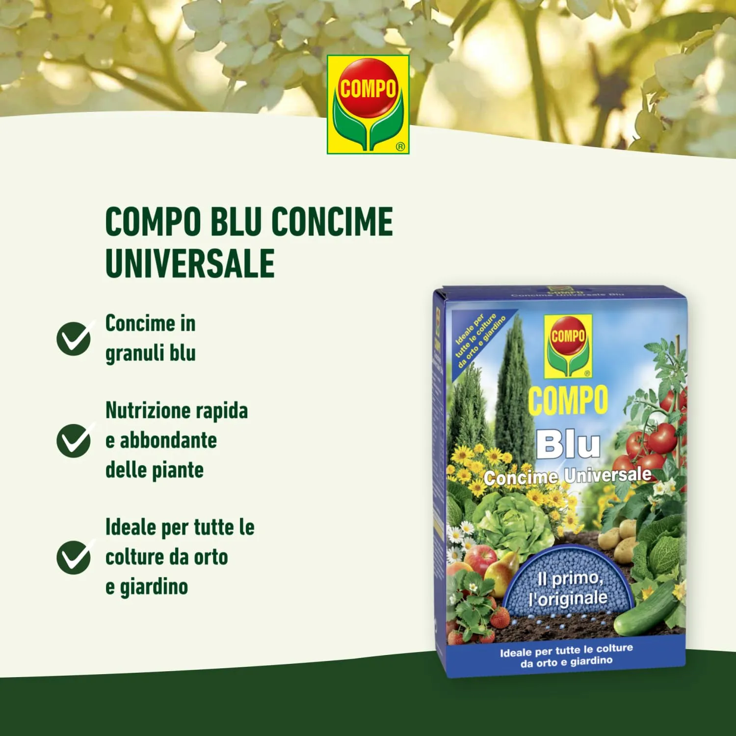 Compo Blu Concime Granulare Universale per Orto e Giardino, 1 kg - immagine 2