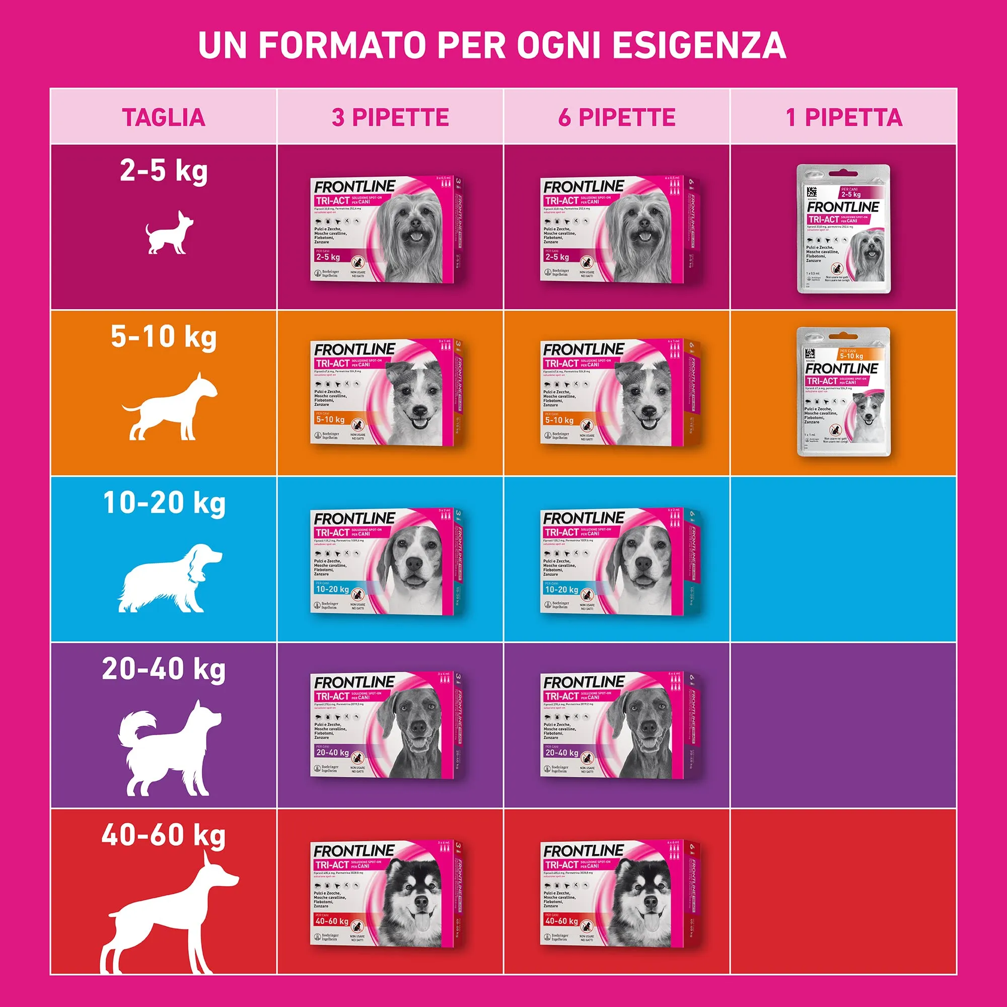 Frontline Tri-Act per Cani 10-20kg, 6 pipette - immagine 5