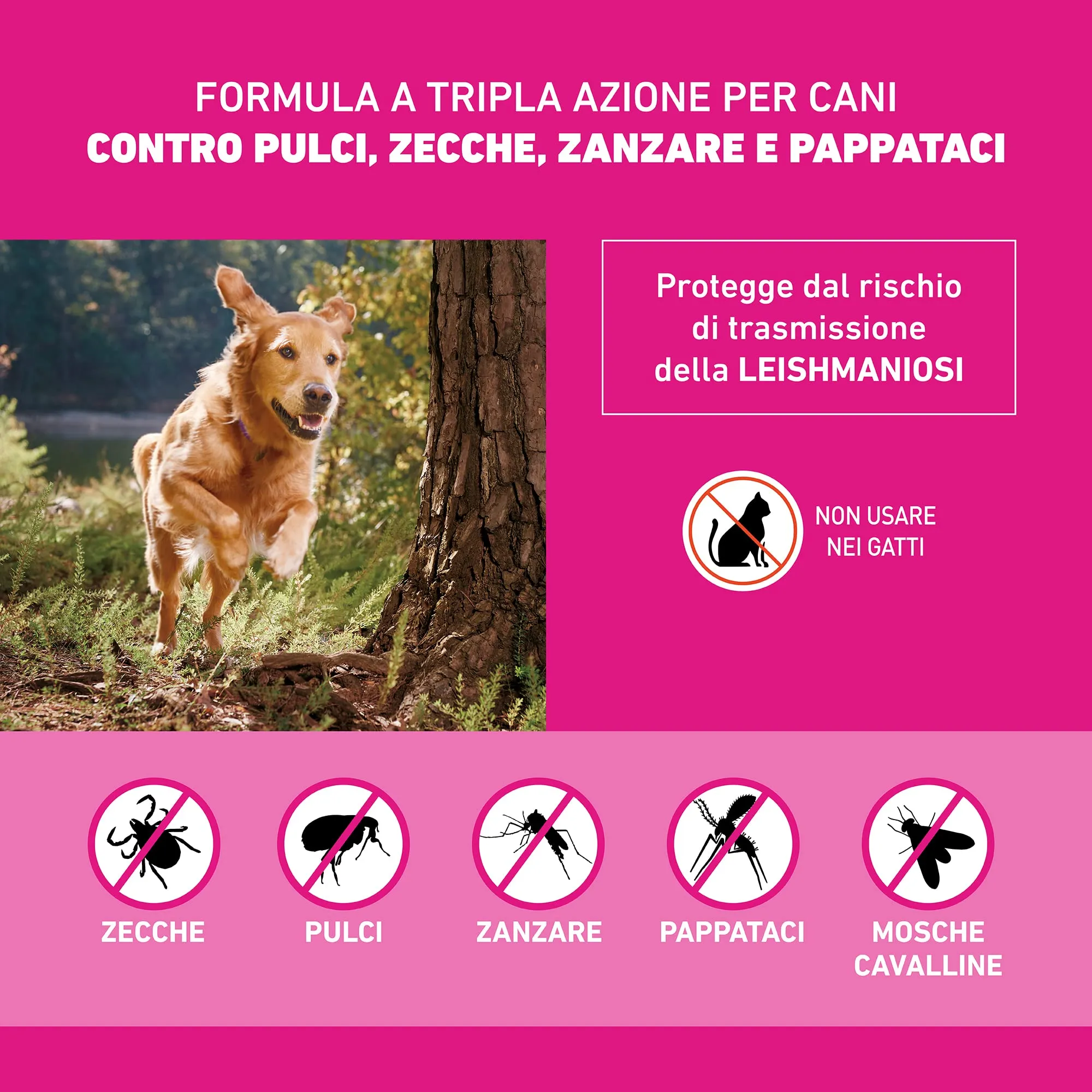 Frontline Tri-Act x3 Antiparassitario Cani (10-20kg) - immagine 3