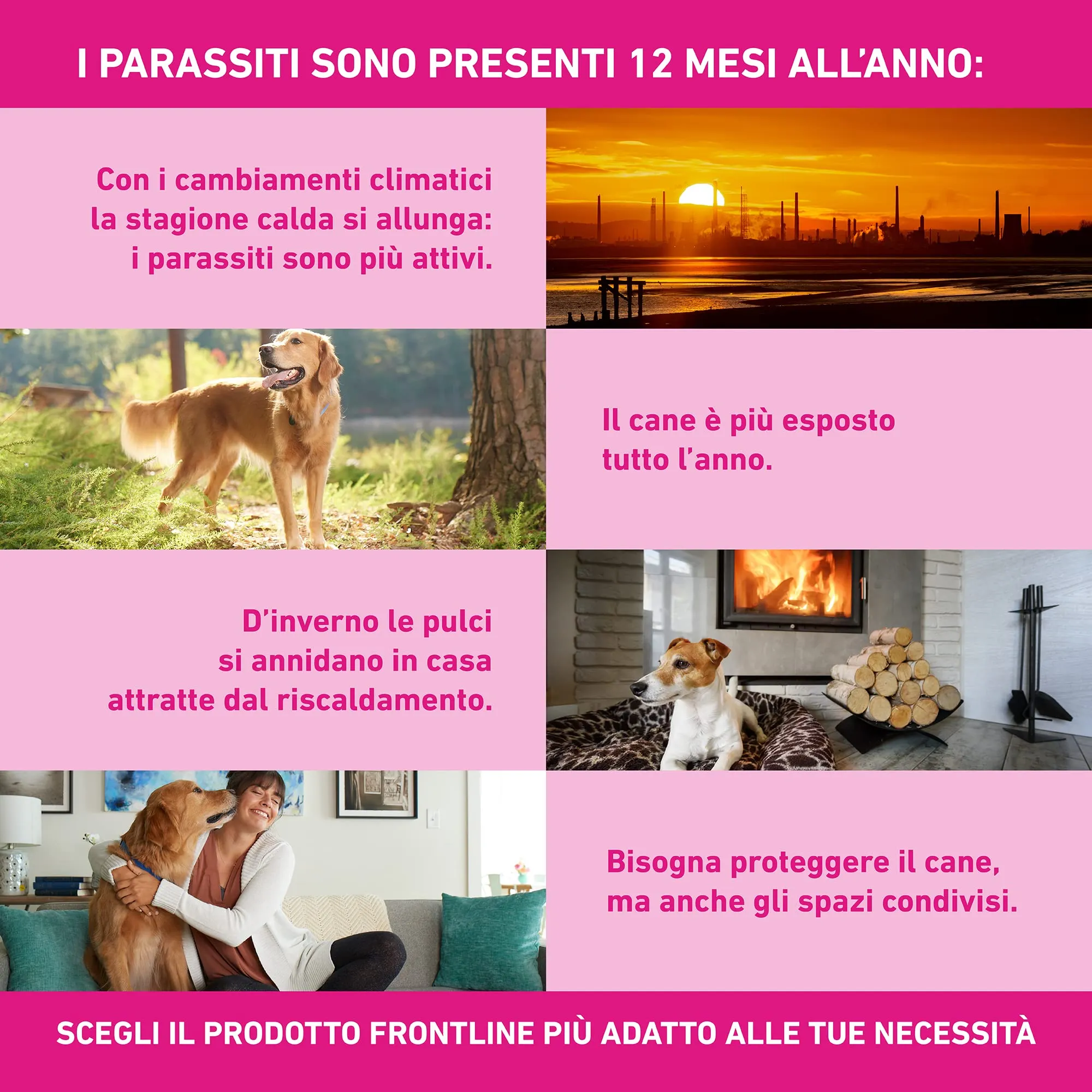 Frontline Tri-Act x3 Antiparassitario Cani (10-20kg) - immagine 6