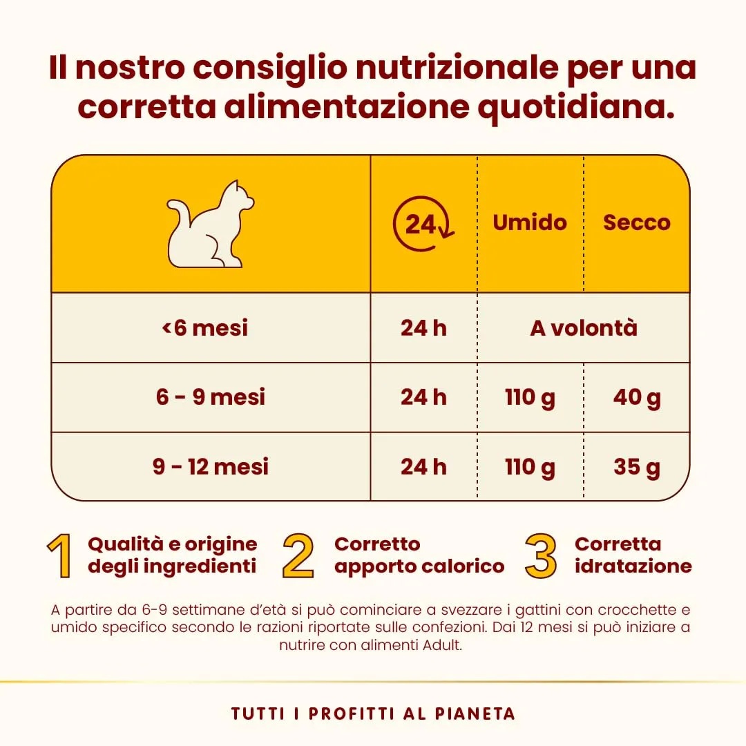 Almo Nature HFC Kitten Pollo Cibo Umido Completo per Gattini e Gatte in Allattamento, 70g, Confezione da 6 - immagine 4