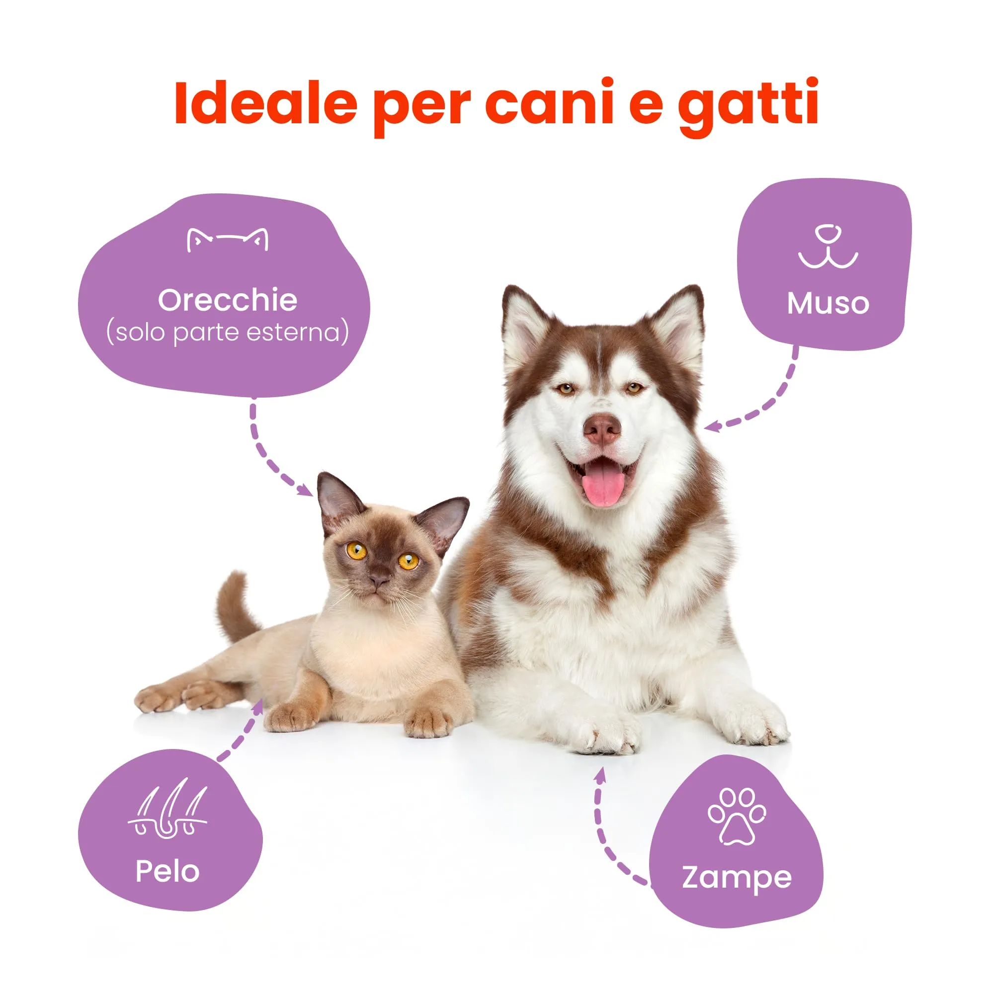 Camon Salviette Detergenti per Cani e Gatti, 30x17 cm, Fragranza Ambra - immagine 2