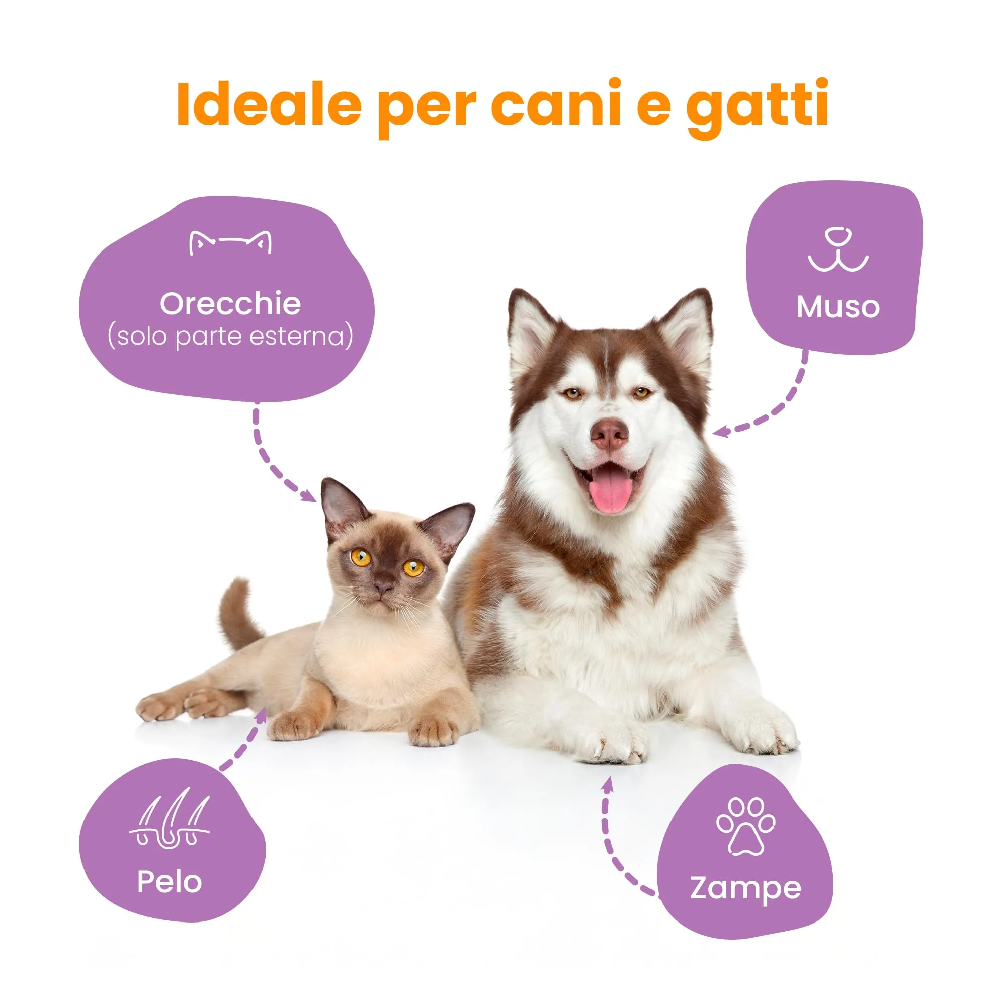 Camon Salviette Detergenti per Cani e Gatti, 30x17 cm - immagine 3