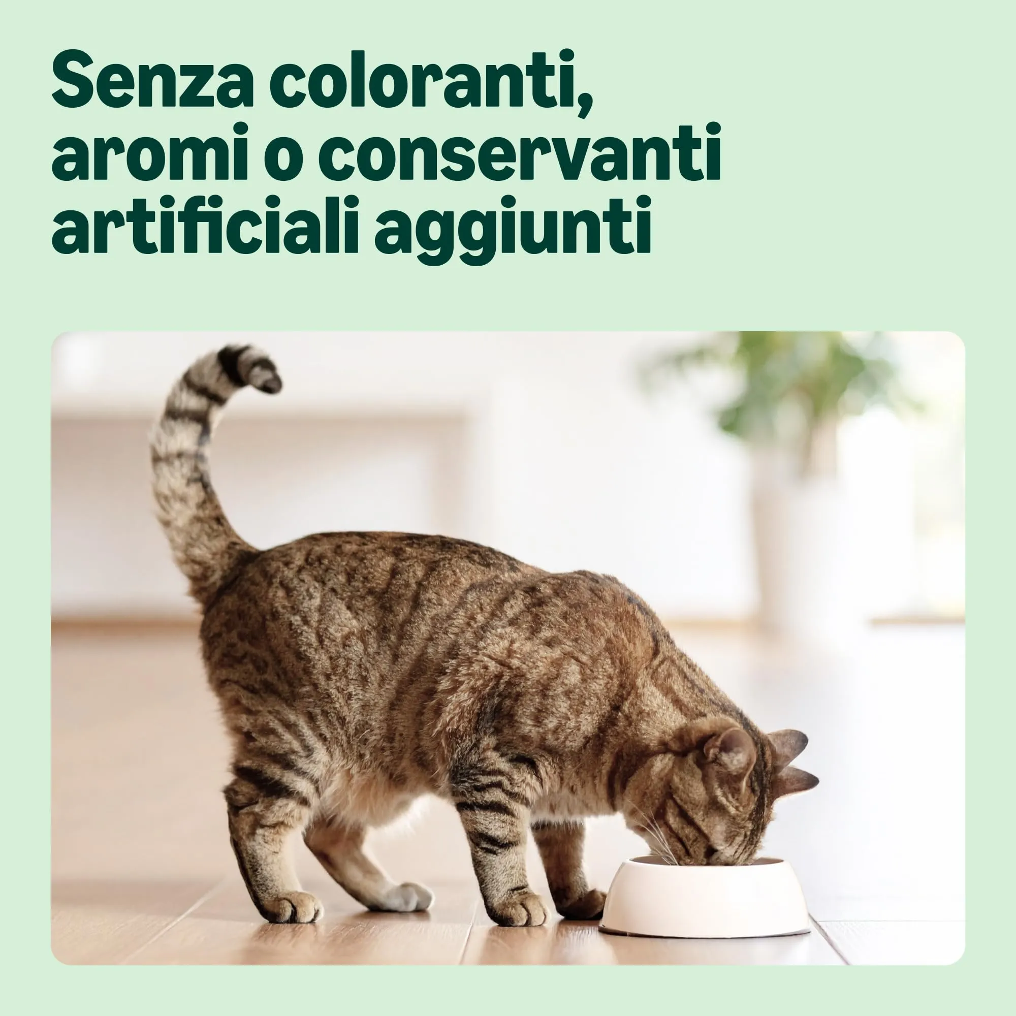 by Amazon Alimento secco completo per gatti adulti con pollo, tacchino e verdure, 10 kg - immagine 4