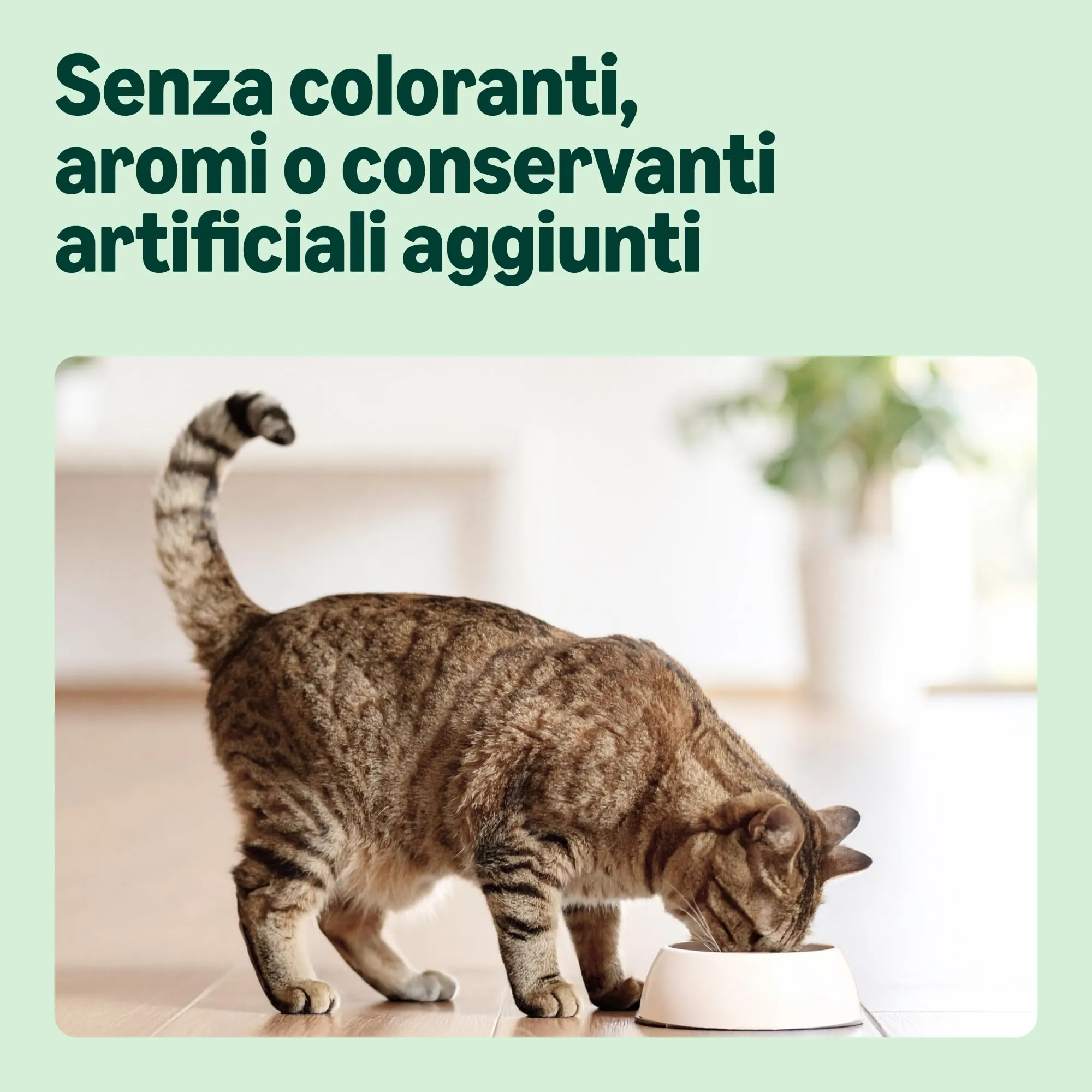 by Amazon Alimento secco completo per gatti adulti con salmone, tonno e verdure, 10 kg - immagine 4