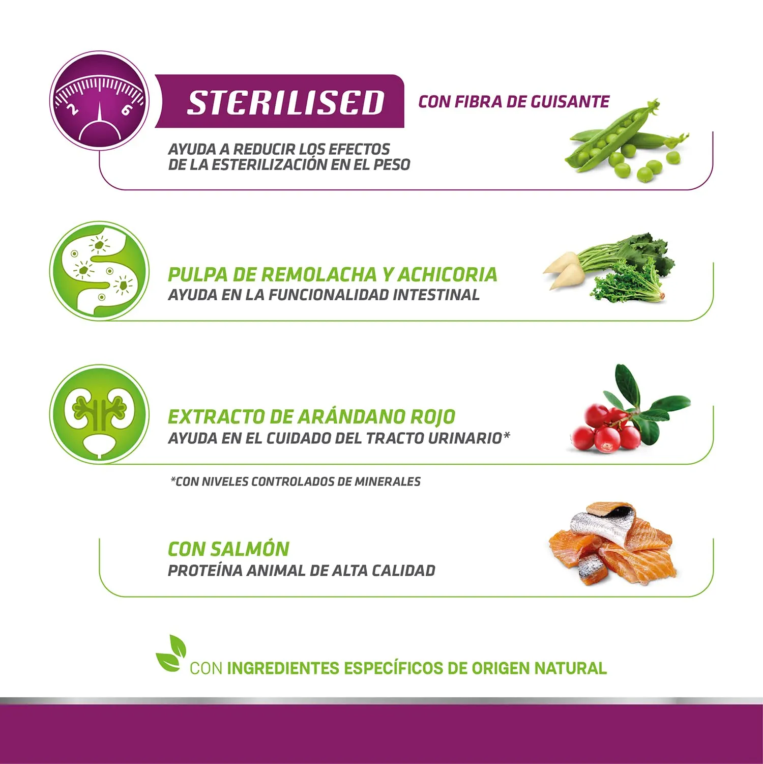 Trainer Natural Sterilised Adult con Salmone e Fibra di Pisello 10 kg - immagine 7