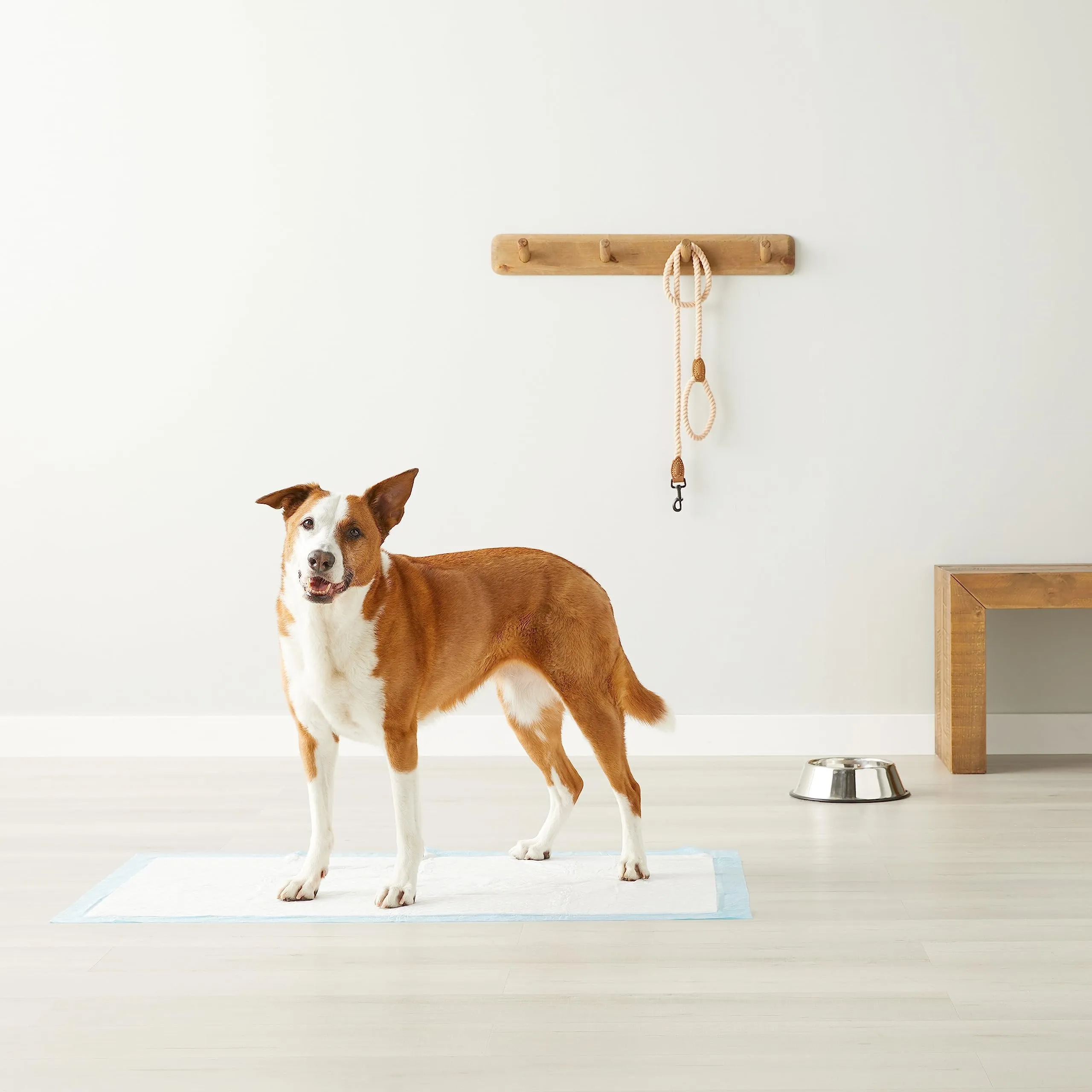 Amazon Basics Tappetini per l'addestramento di cani e cuccioli, 5 strati, Dimensione Gigante, 40 pezzi, Blu/Bianco - immagine 6