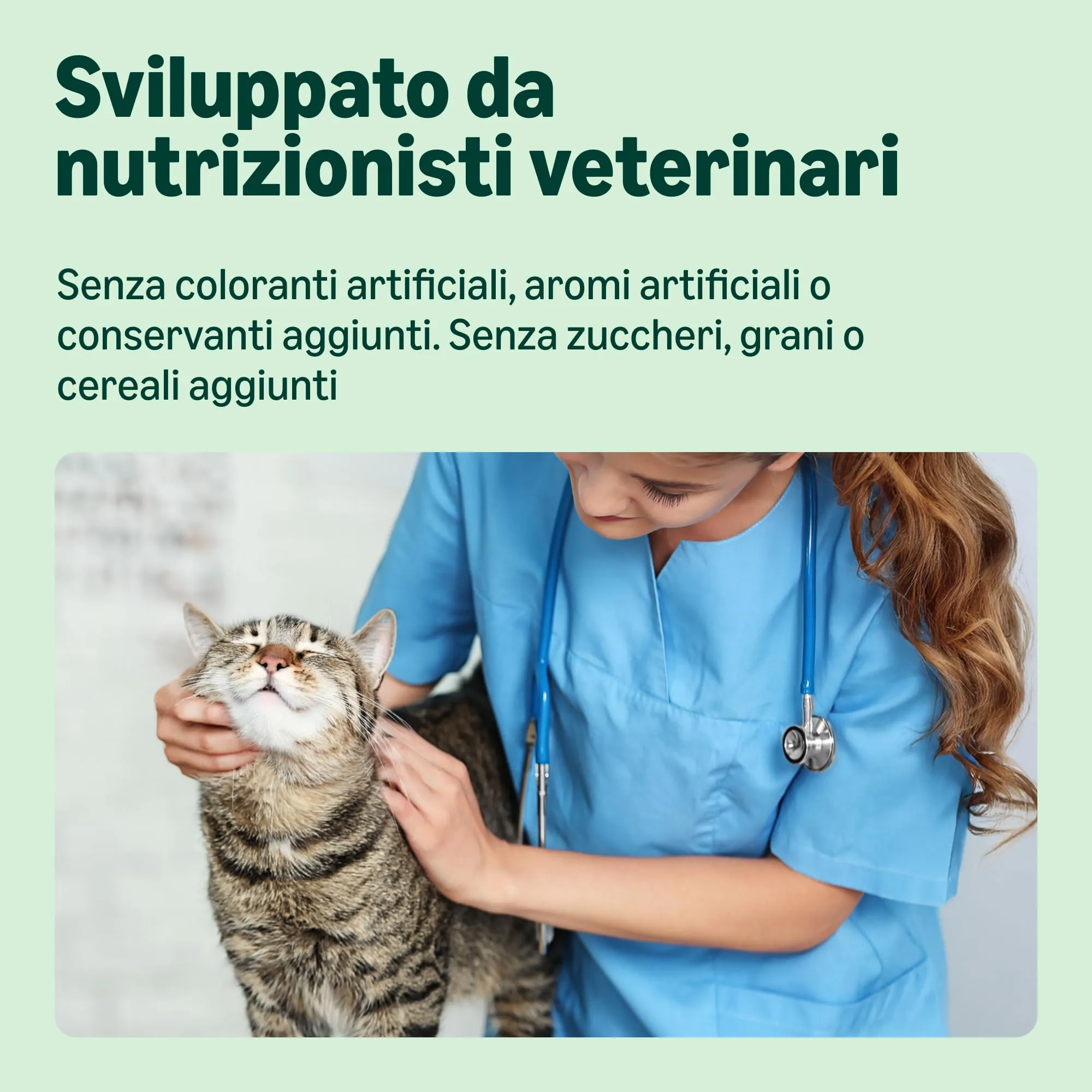 by Amazon Cibo Umido per Gatti Paté di Manzo, 100g, Confezione da 16 - immagine 4
